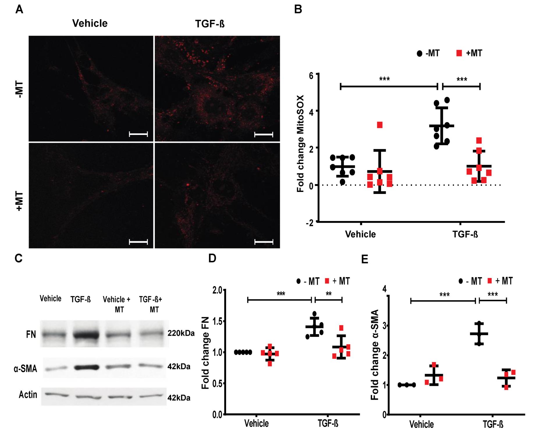 Ijms 21 02064 g009 Ijms 21 02064 g009