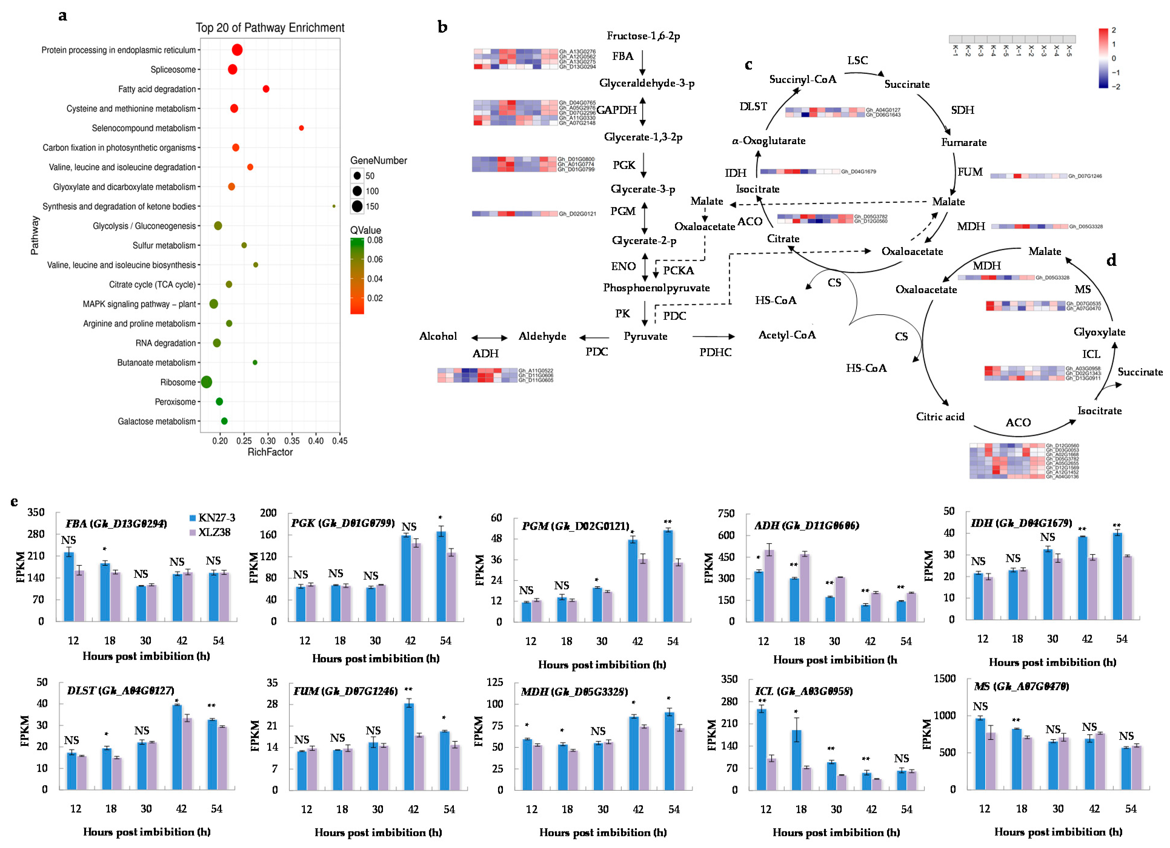 Ijms 21 02067 g003 Ijms 21 02067 g003