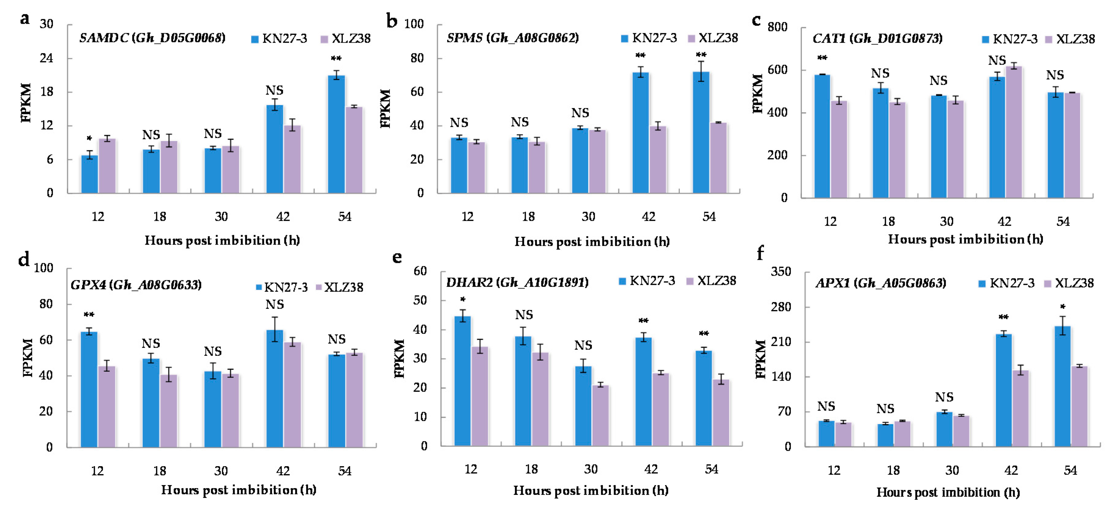 Ijms 21 02067 g006 Ijms 21 02067 g006