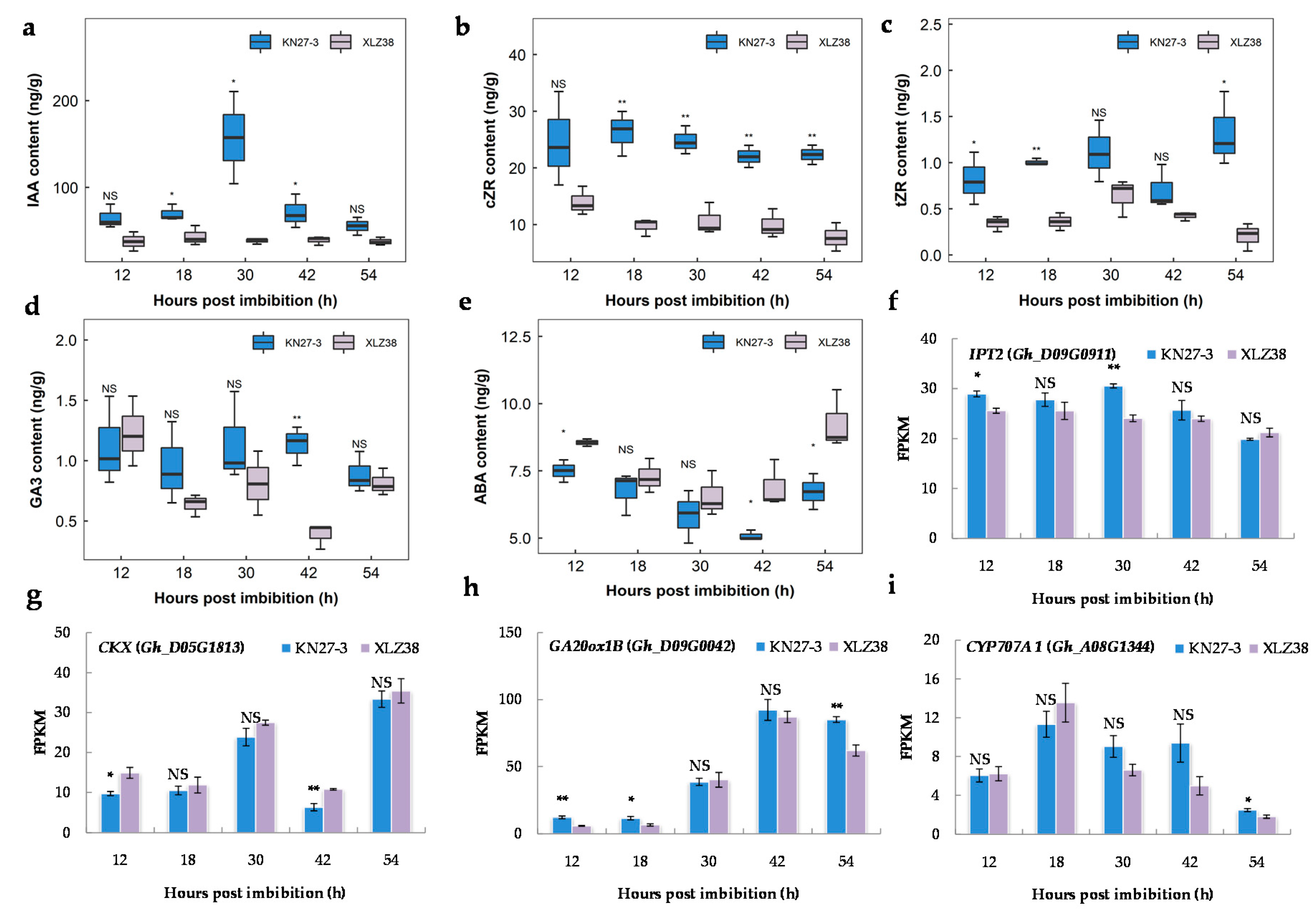 Ijms 21 02067 g007 Ijms 21 02067 g007