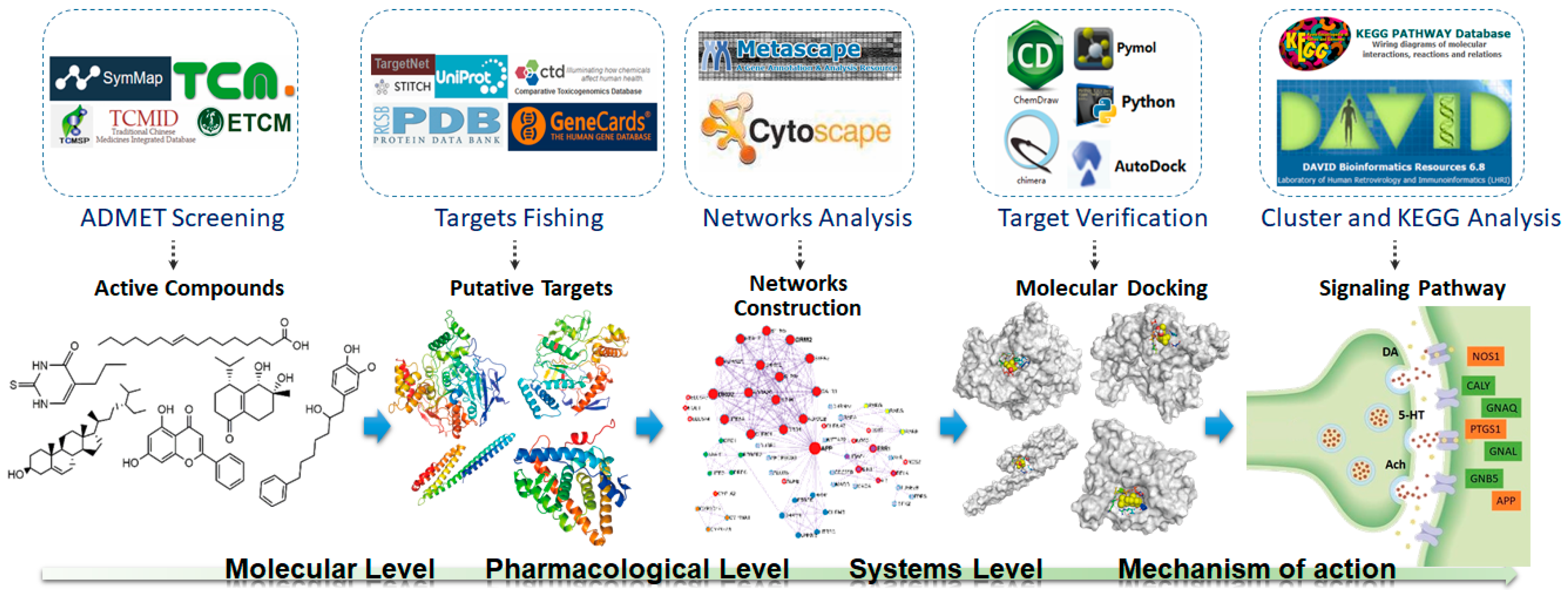 Ijms 21 02071 g001 Ijms 21 02071 g001