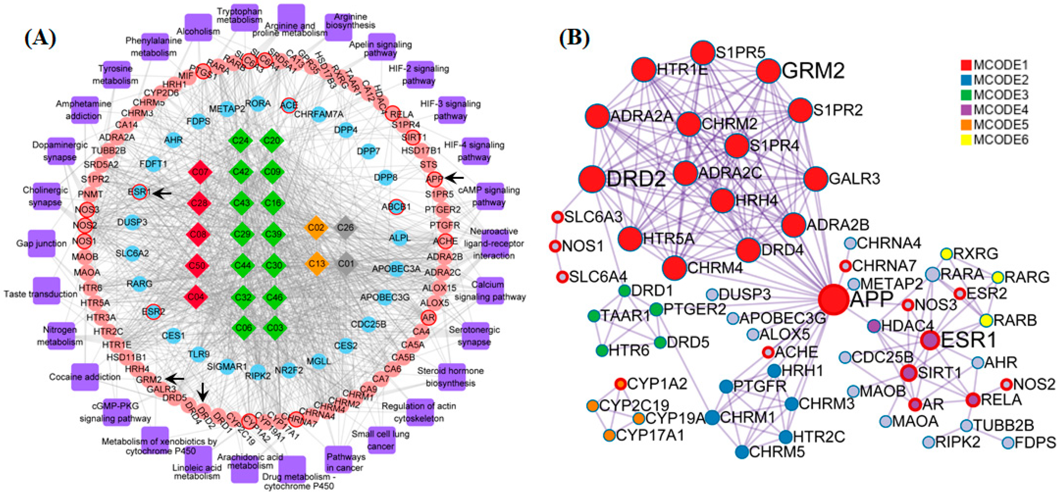 Ijms 21 02071 g004 Ijms 21 02071 g004