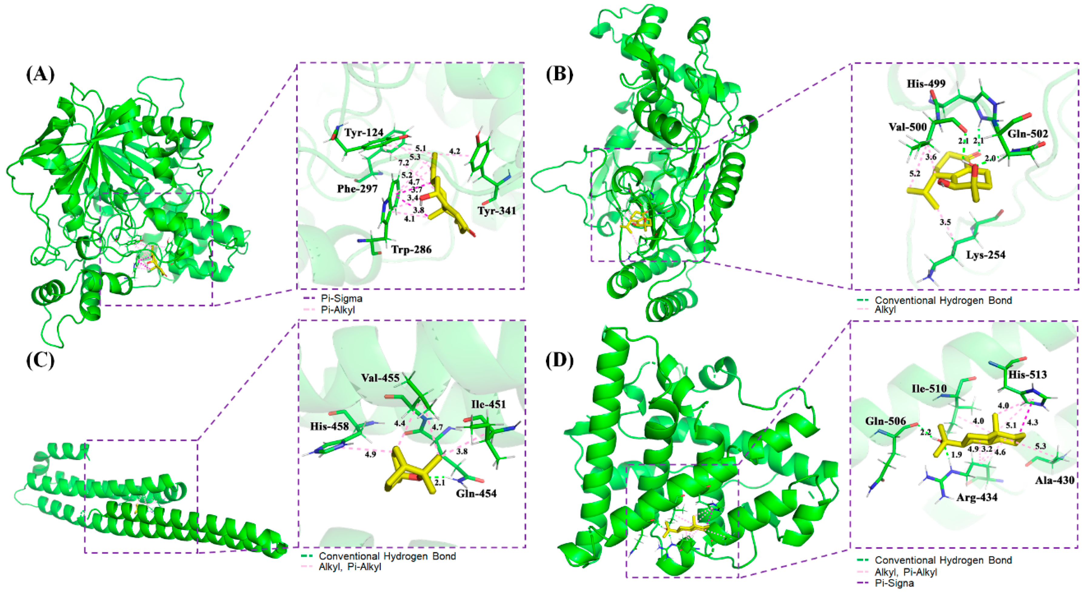 Ijms 21 02071 g005 Ijms 21 02071 g005