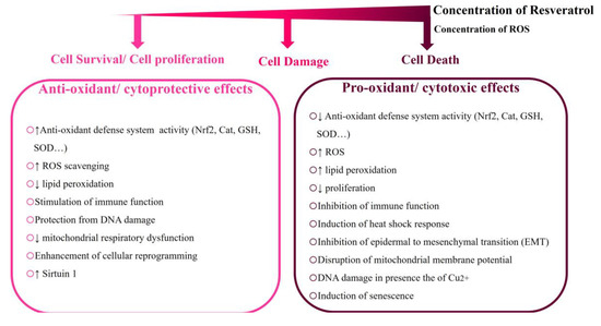 resveratrol vs glutathione Potential Adverse Effects of Resveratrol: A Literature Review