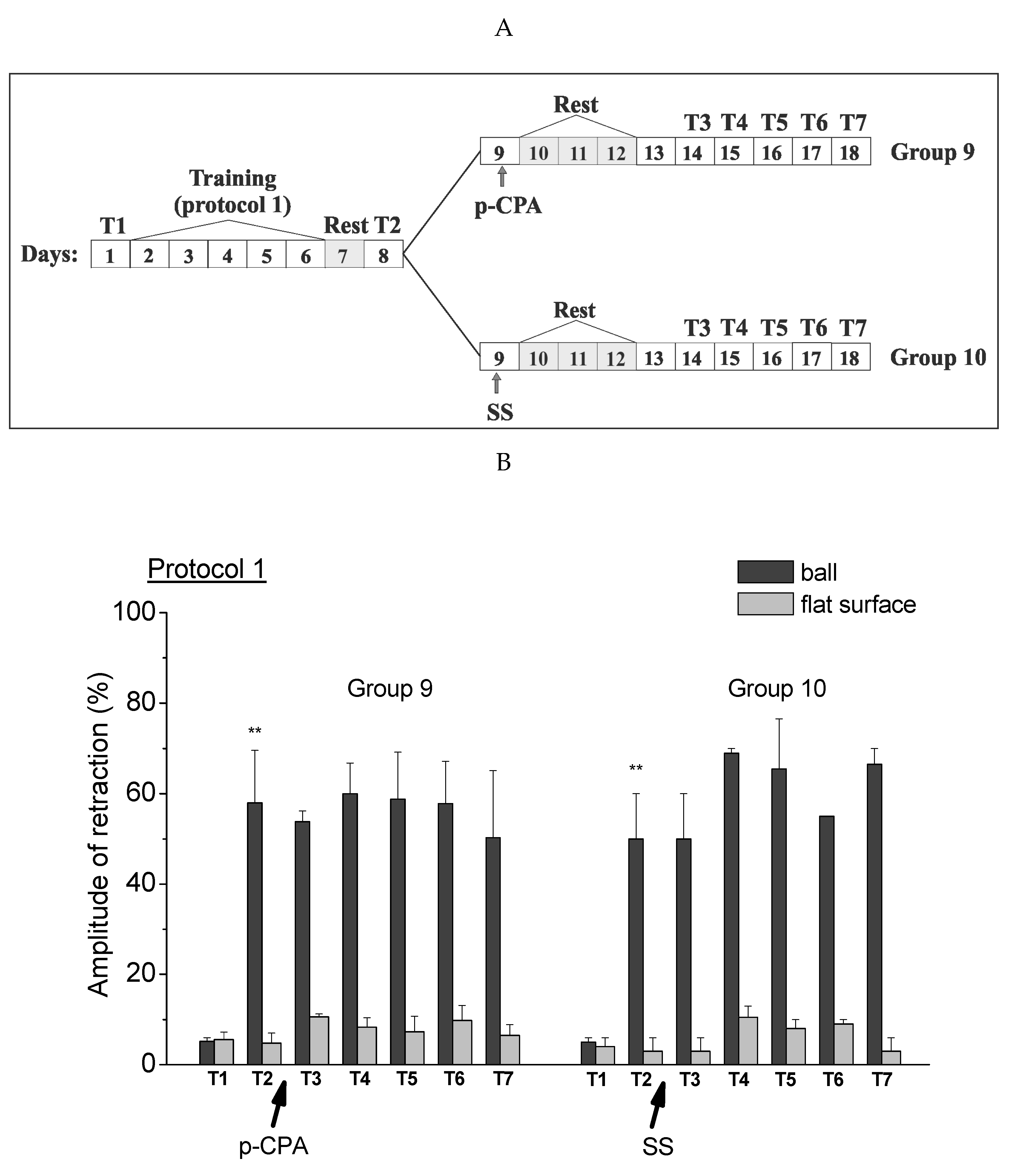 Ijms 21 02087 g004 Ijms 21 02087 g004