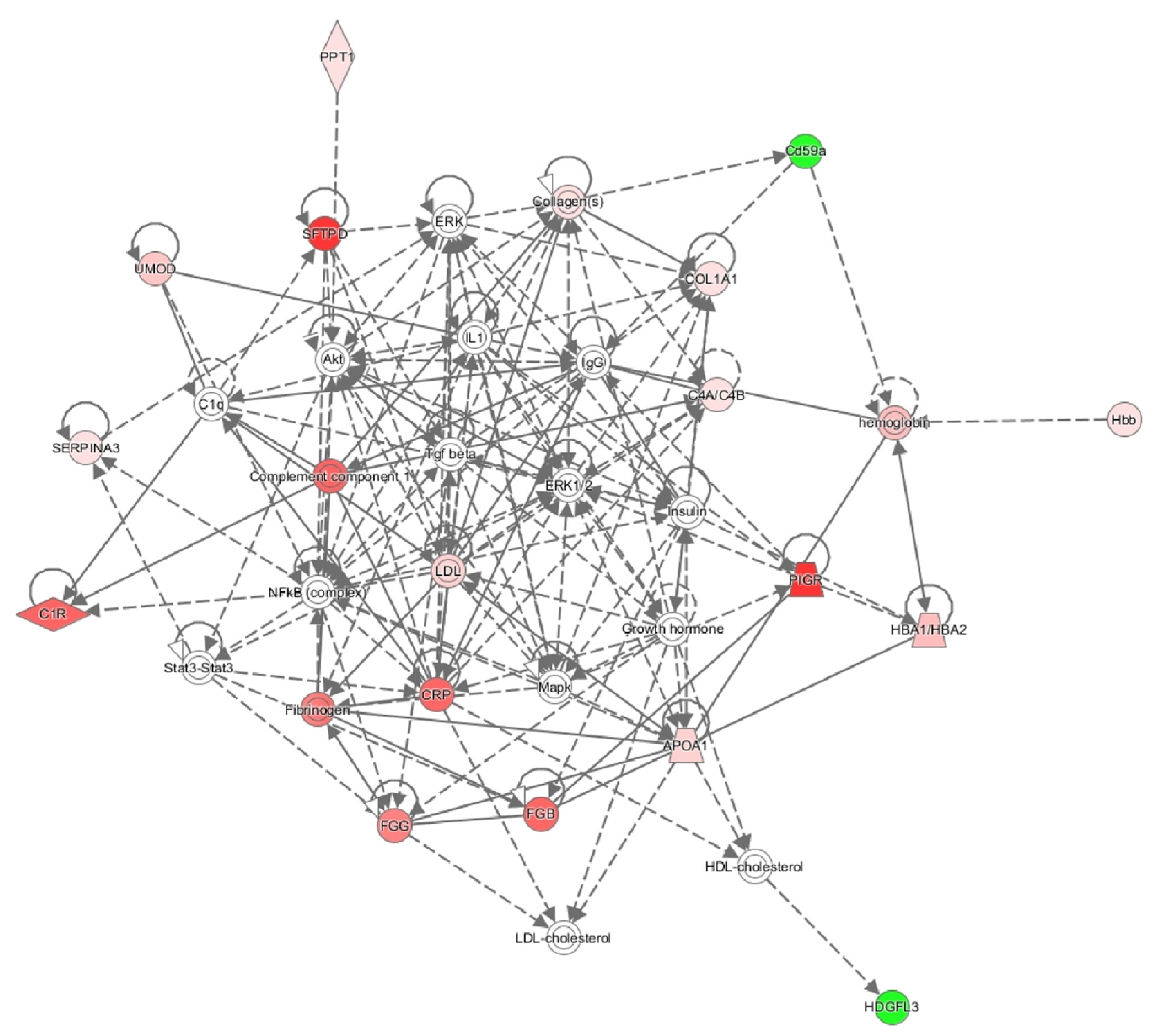 Ijms 21 02095 g003 Ijms 21 02095 g003