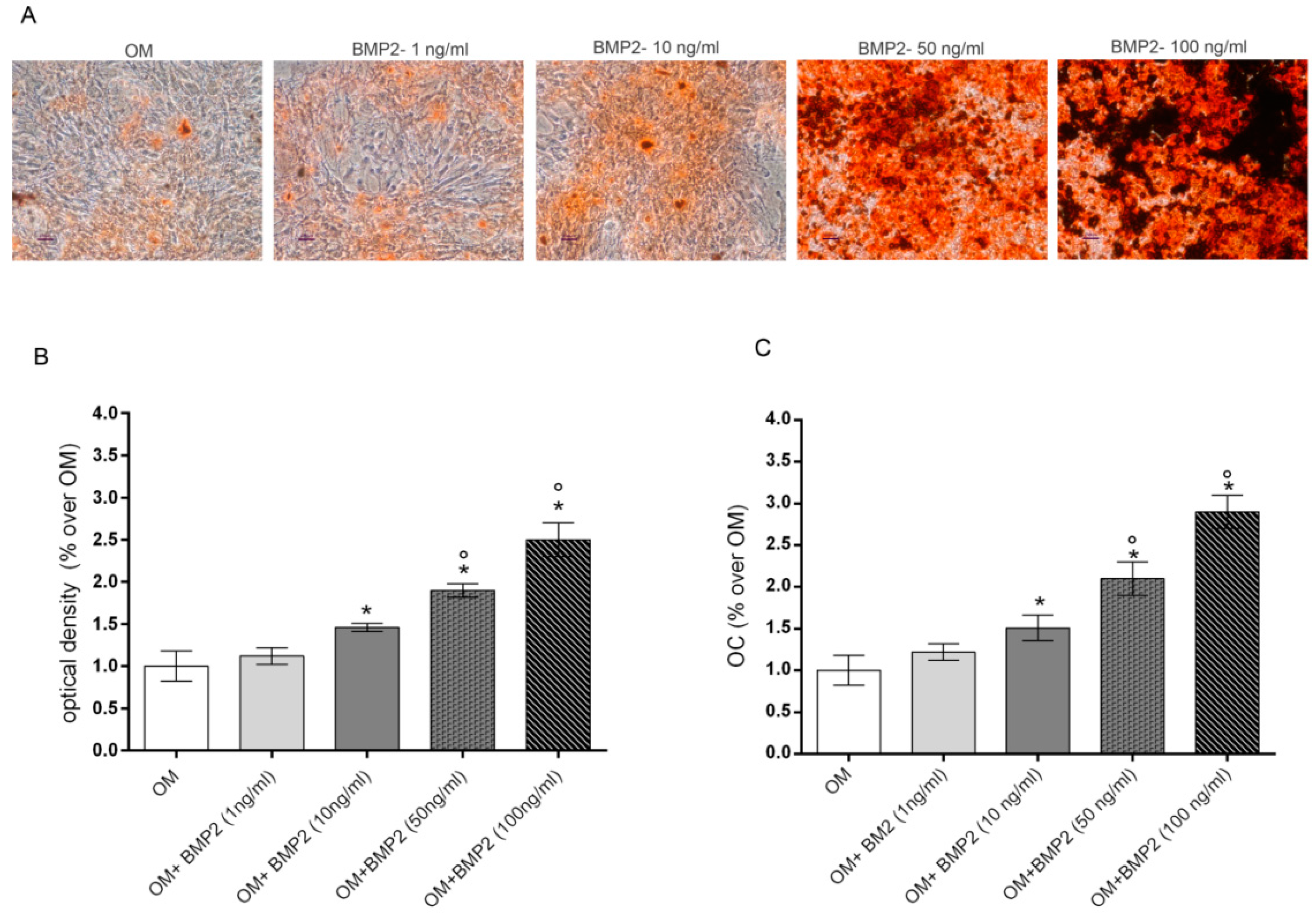 Ijms 21 02104 g001 Ijms 21 02104 g001