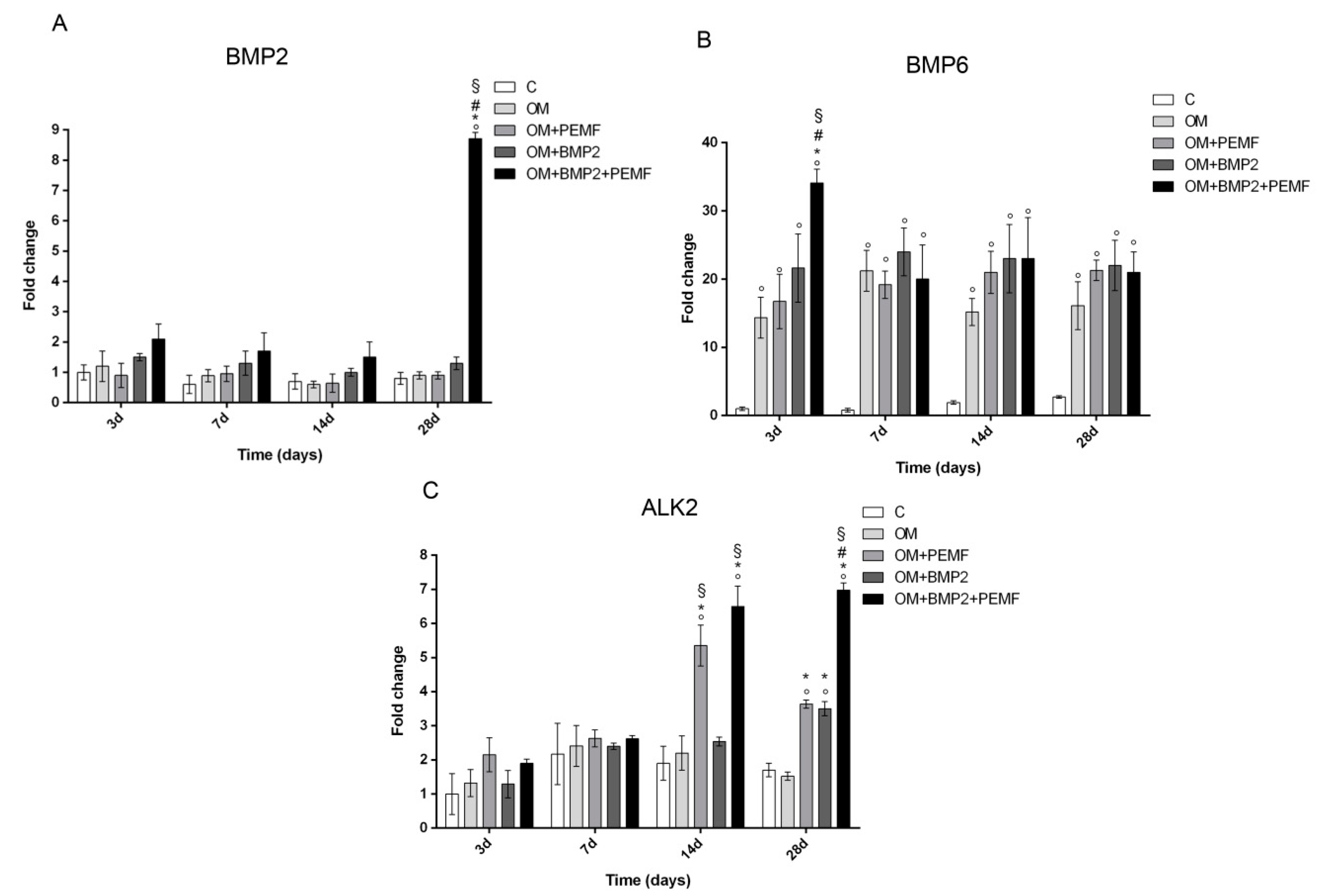 Ijms 21 02104 g003 Ijms 21 02104 g003