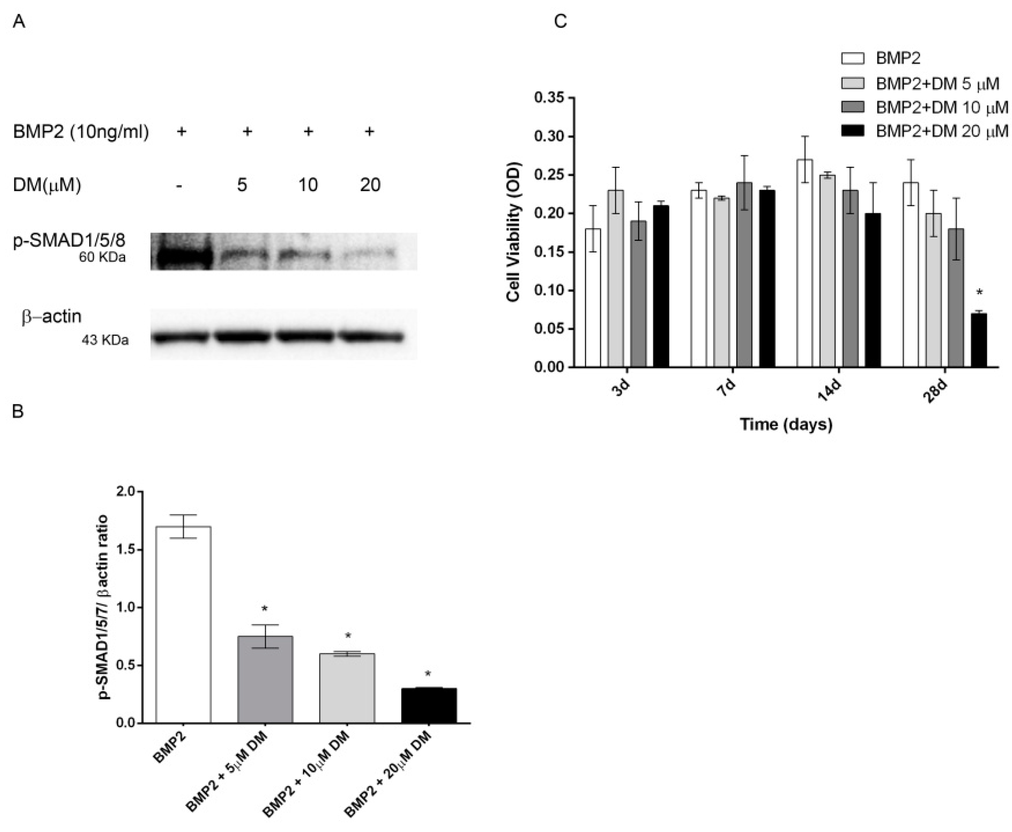 Ijms 21 02104 g005 Ijms 21 02104 g005