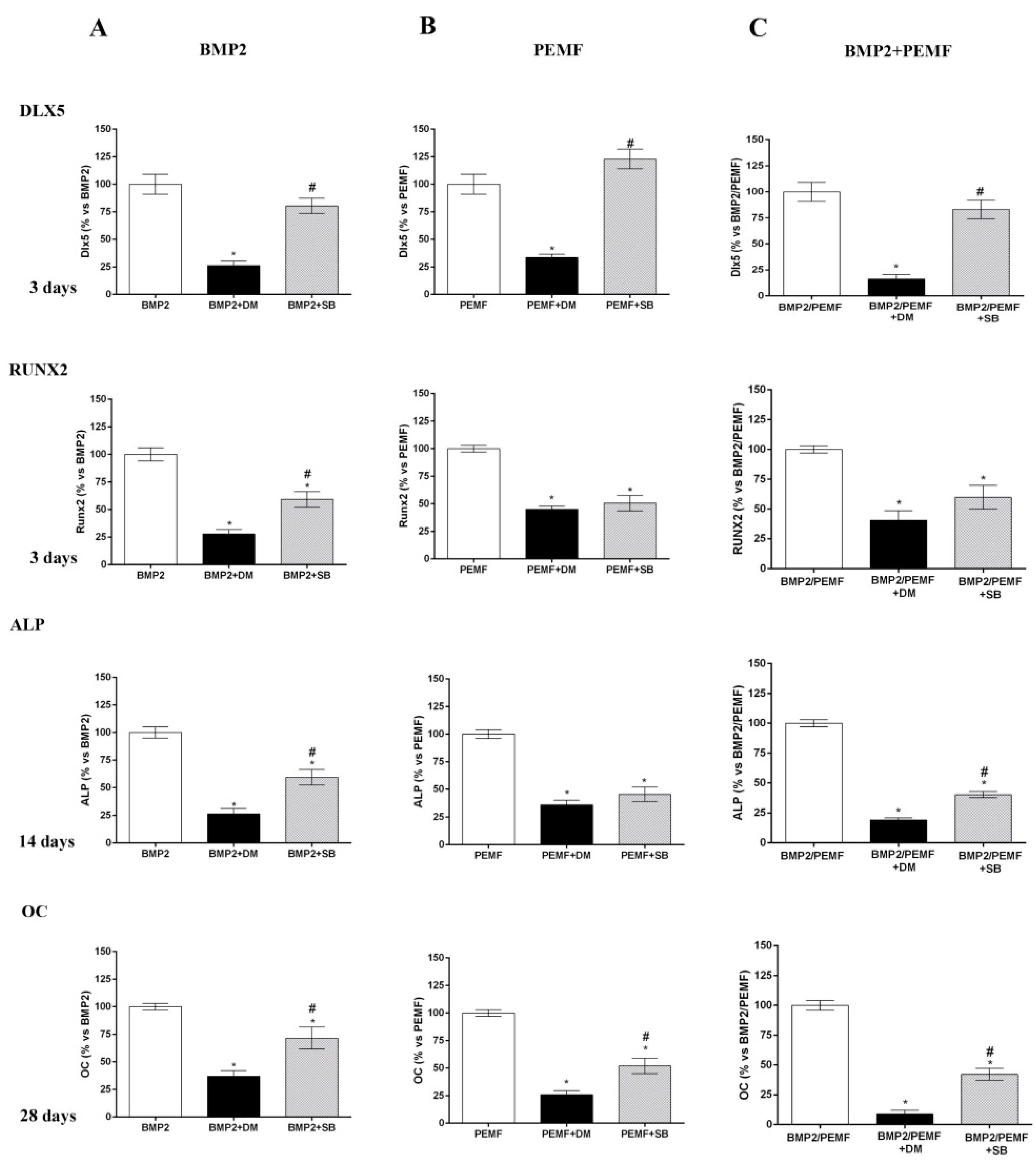 Ijms 21 02104 g006 Ijms 21 02104 g006