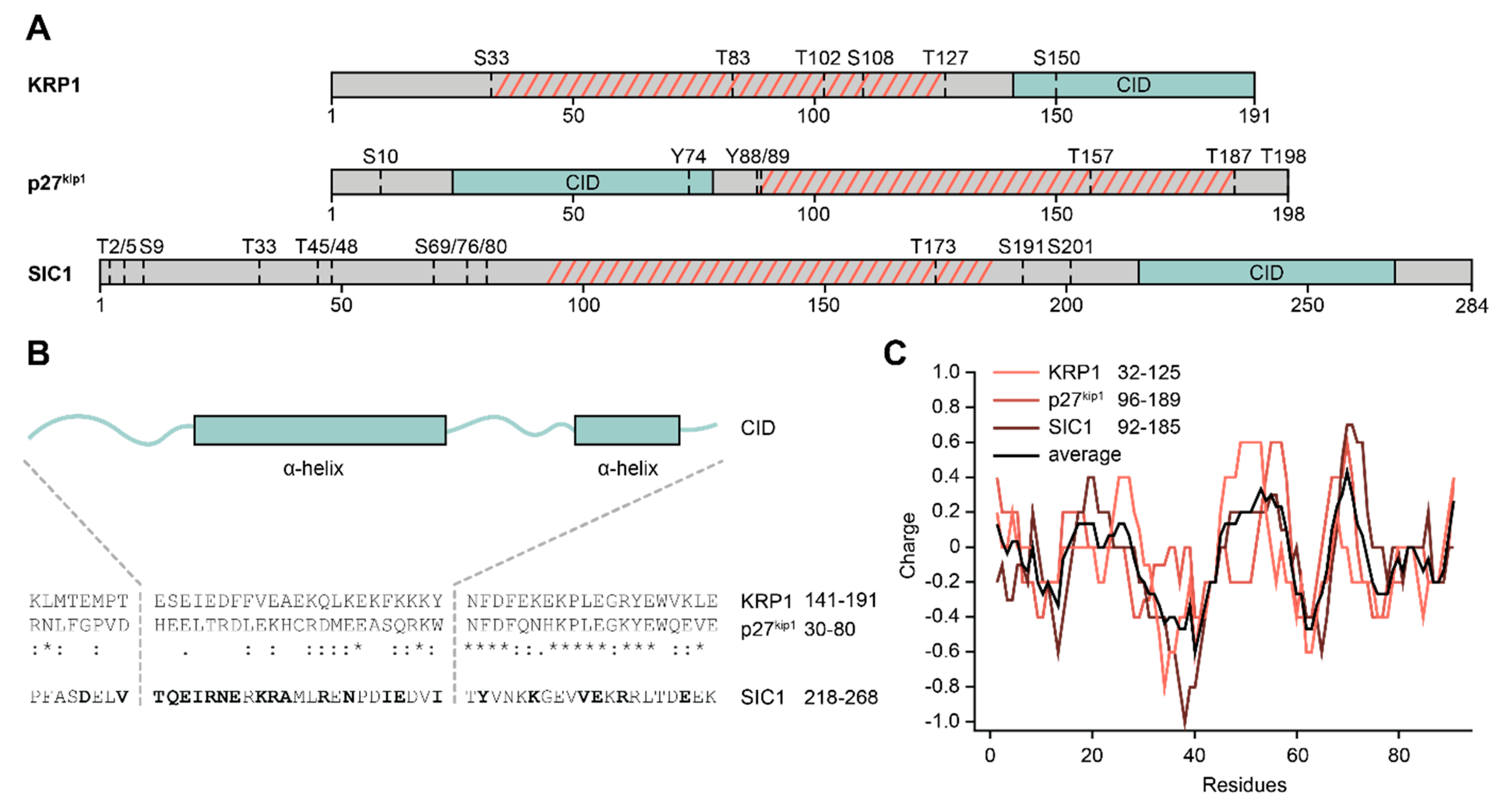 Ijms Free Full Text Mon Functions Of Disordered Proteins Across Evolutionary Distant Anisms Html Ijms Free Full Text Mon Functions Of Disordered Proteins Across Evolutionary Distant Anisms Html