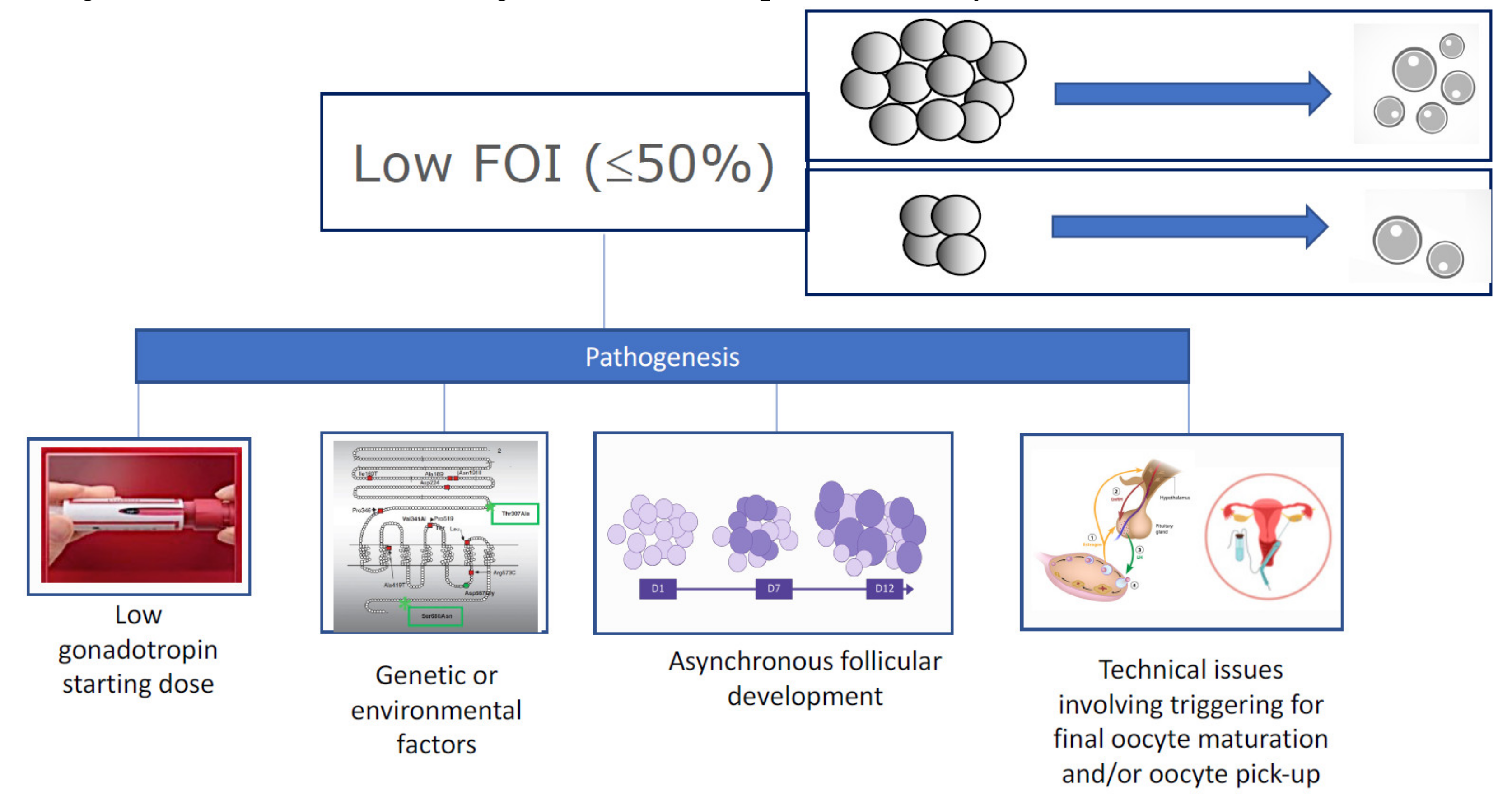 Ijms Free Full Text Novel Physiology And Definition Of Poor Ovarian Response Clinical Recommendations Html