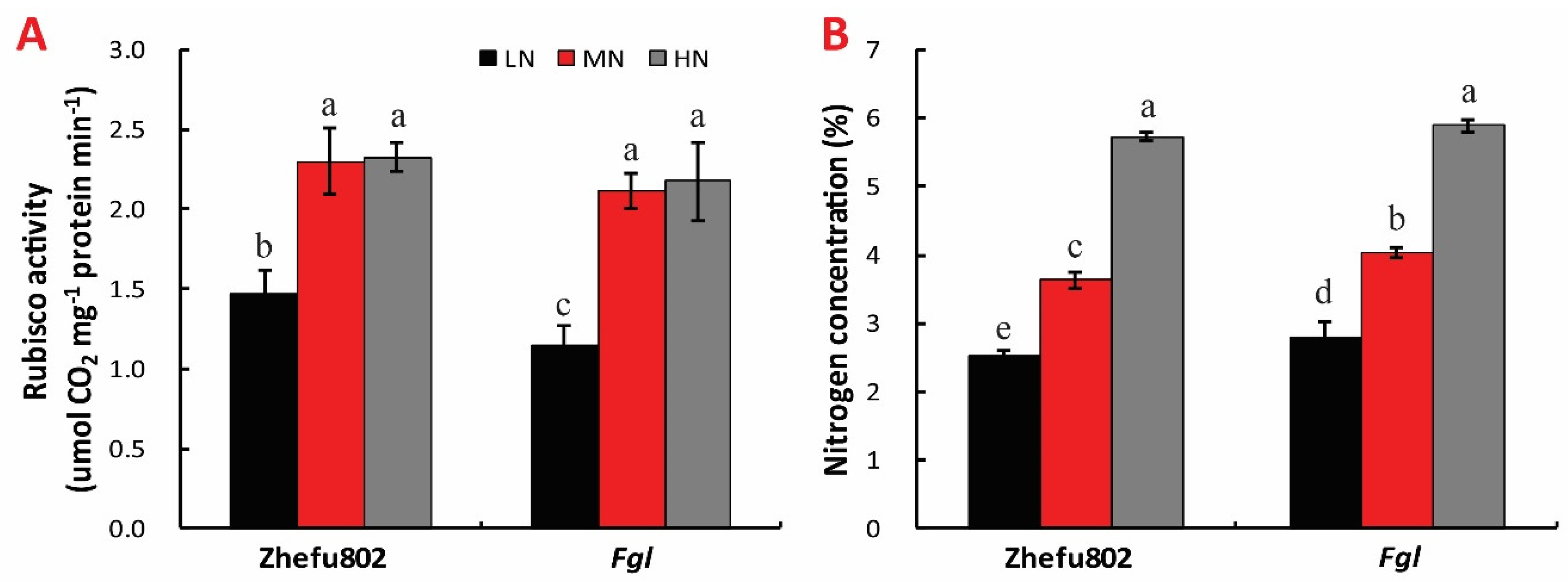 Ijms 21 02115 g003 Ijms 21 02115 g003