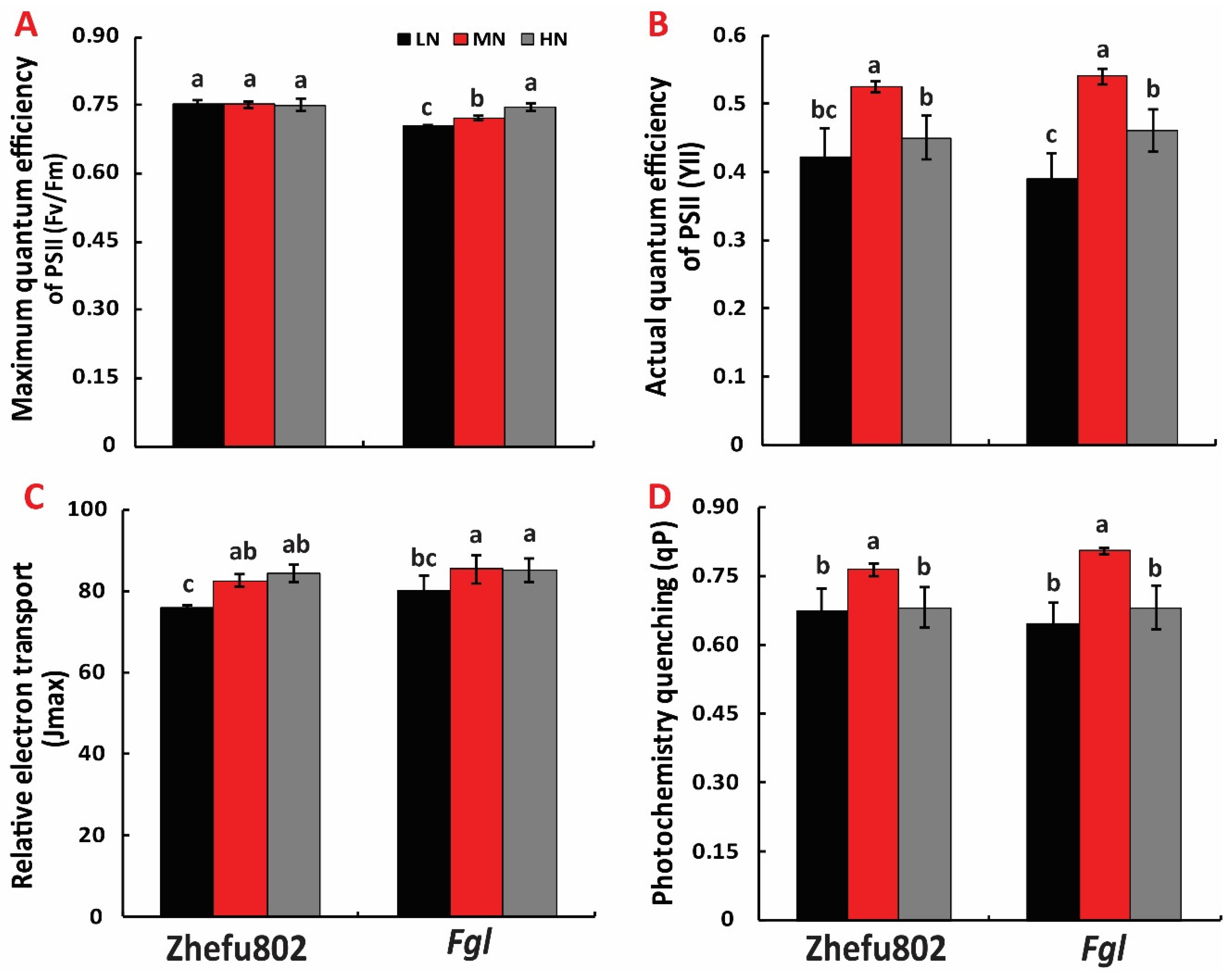 Ijms 21 02115 g004 Ijms 21 02115 g004
