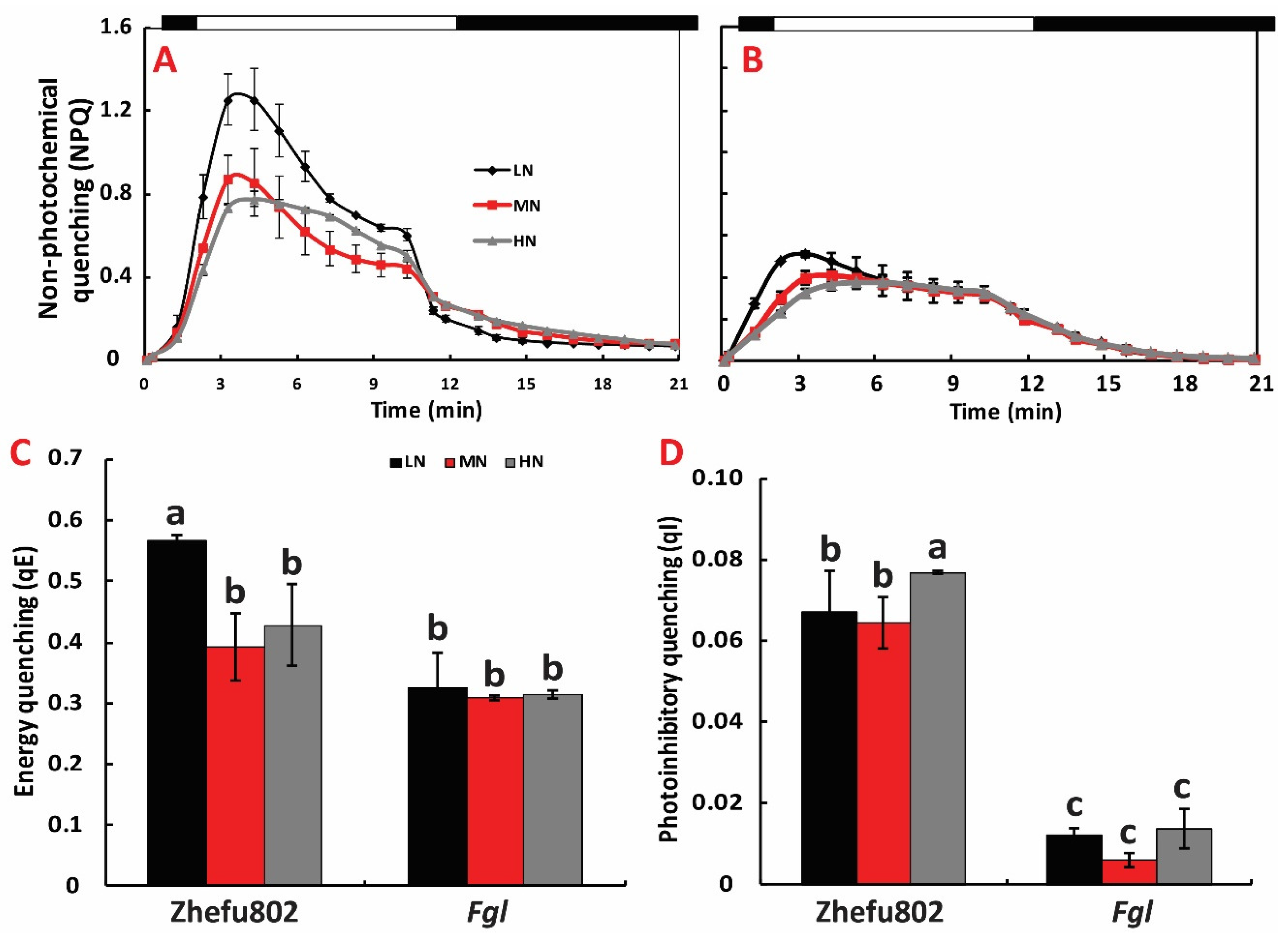 Ijms 21 02115 g005 Ijms 21 02115 g005