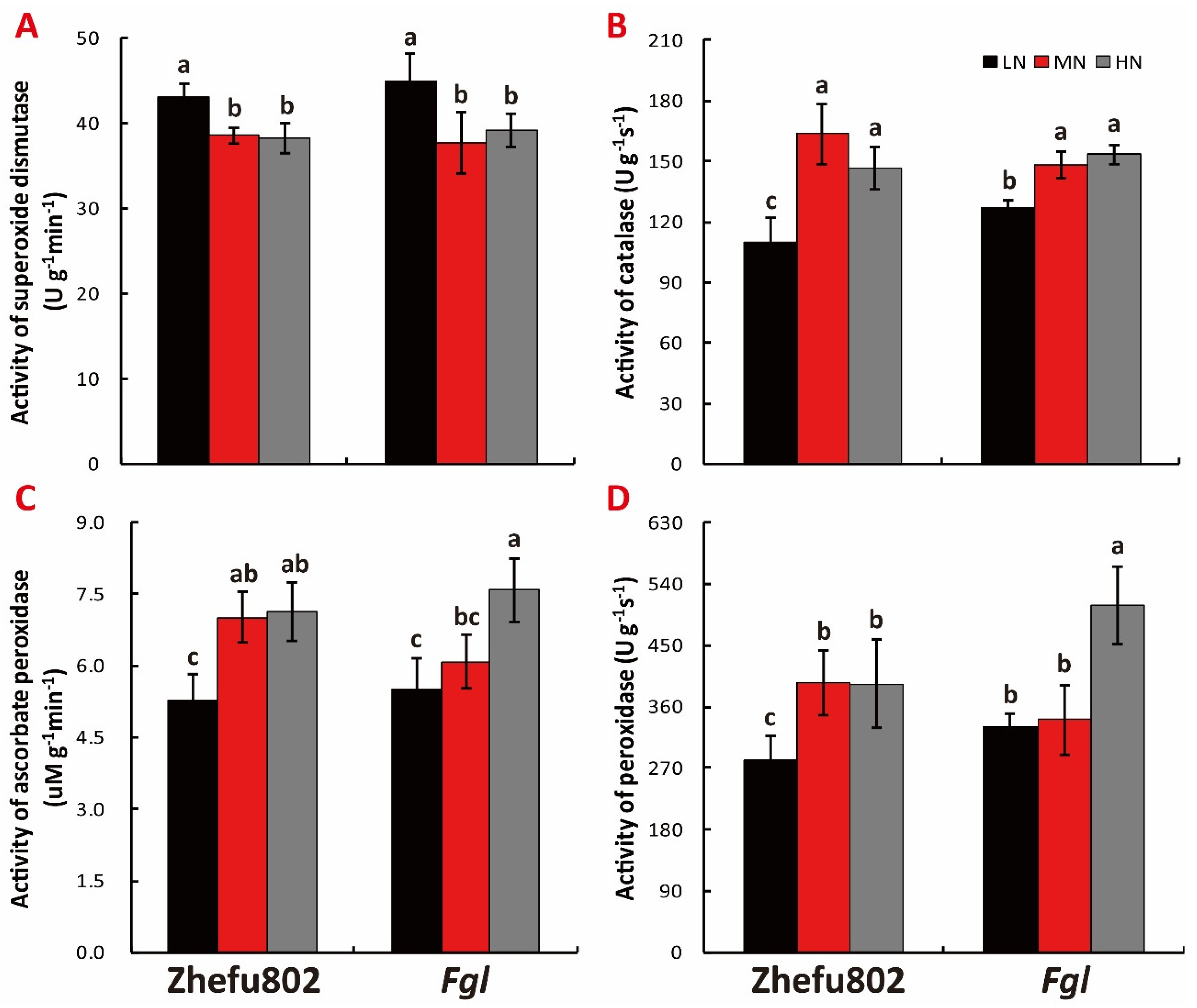 Ijms 21 02115 g007 Ijms 21 02115 g007