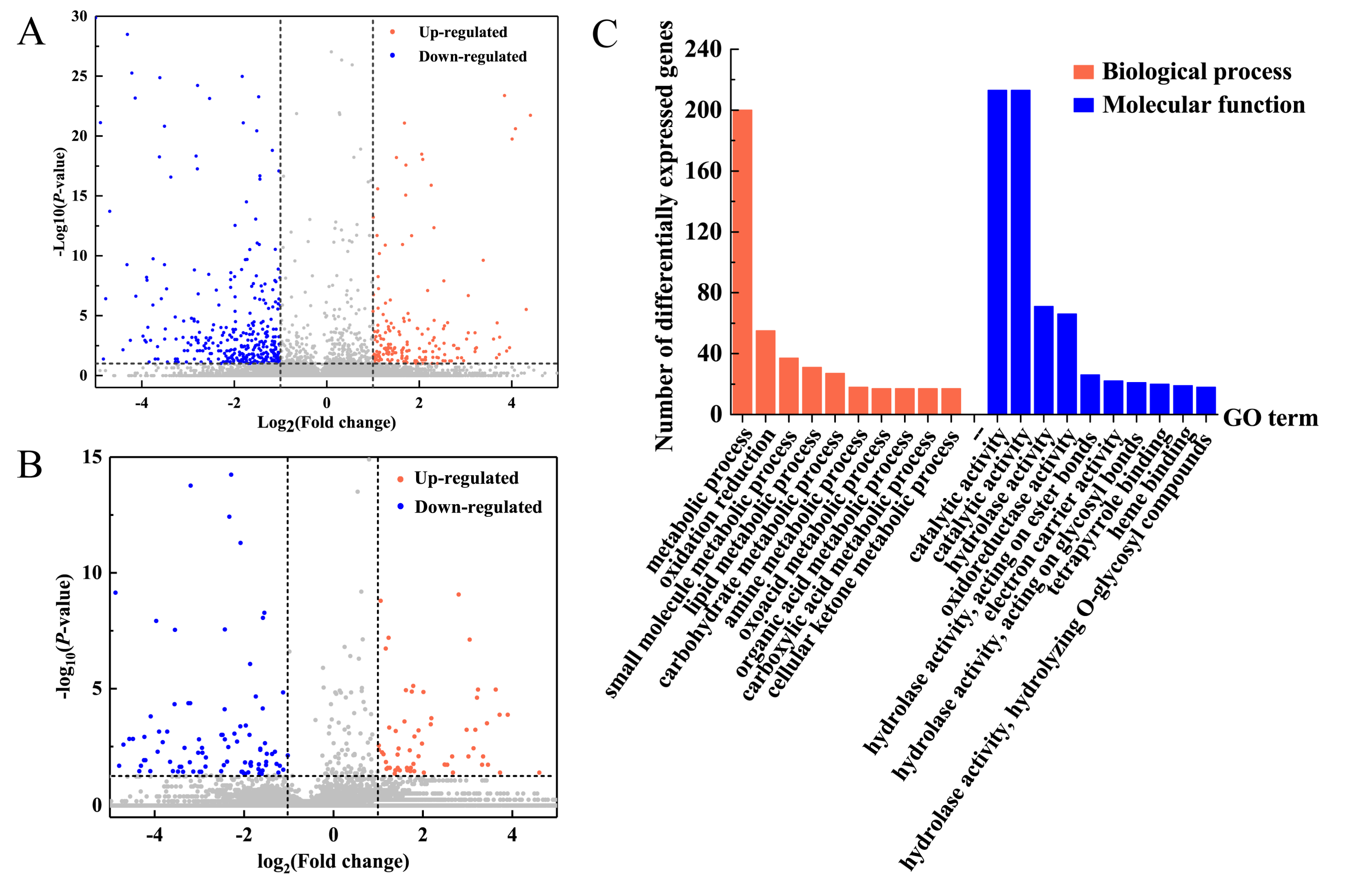 Ijms 21 02117 g002 Ijms 21 02117 g002