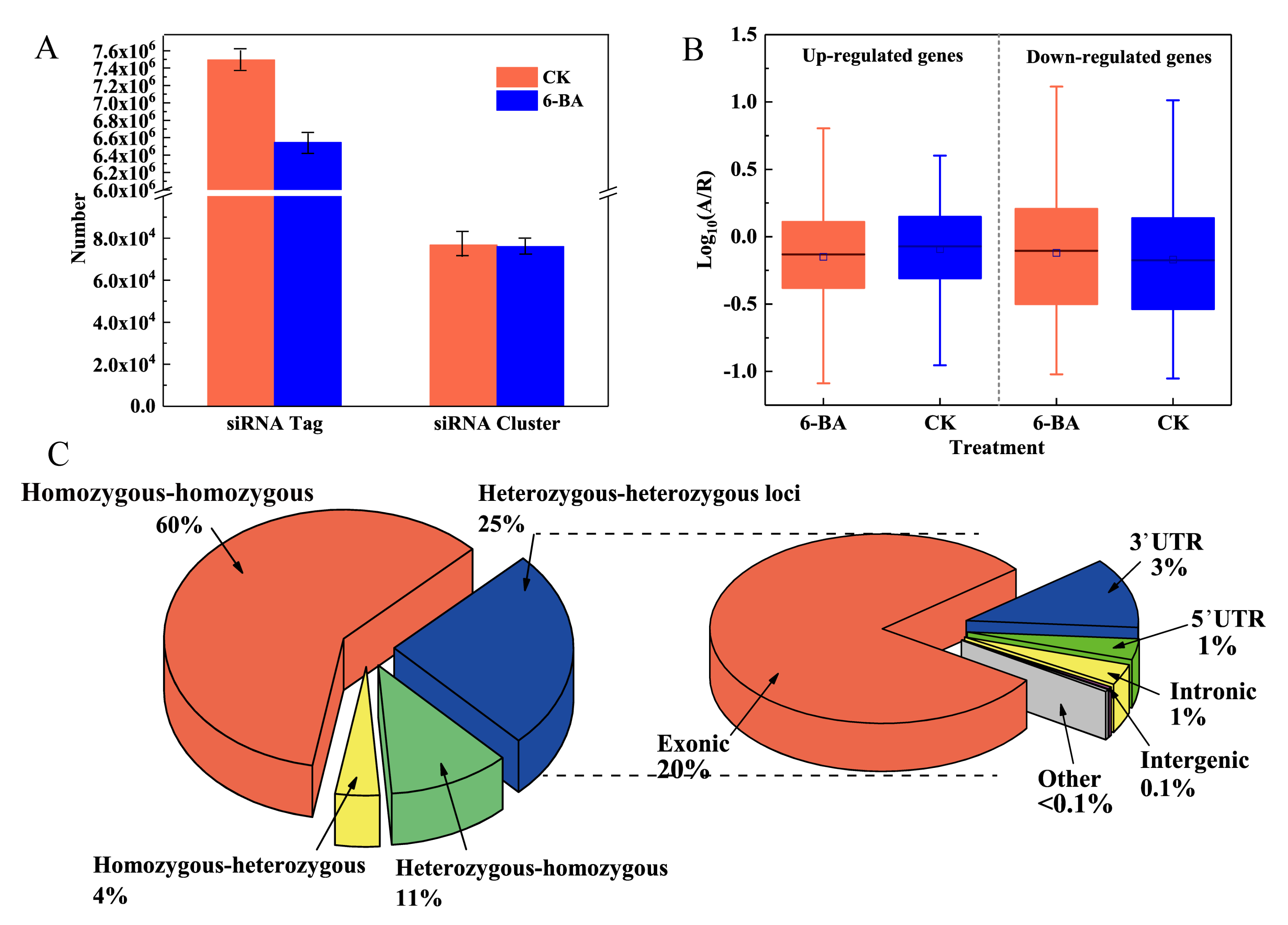 Ijms 21 02117 g003 Ijms 21 02117 g003