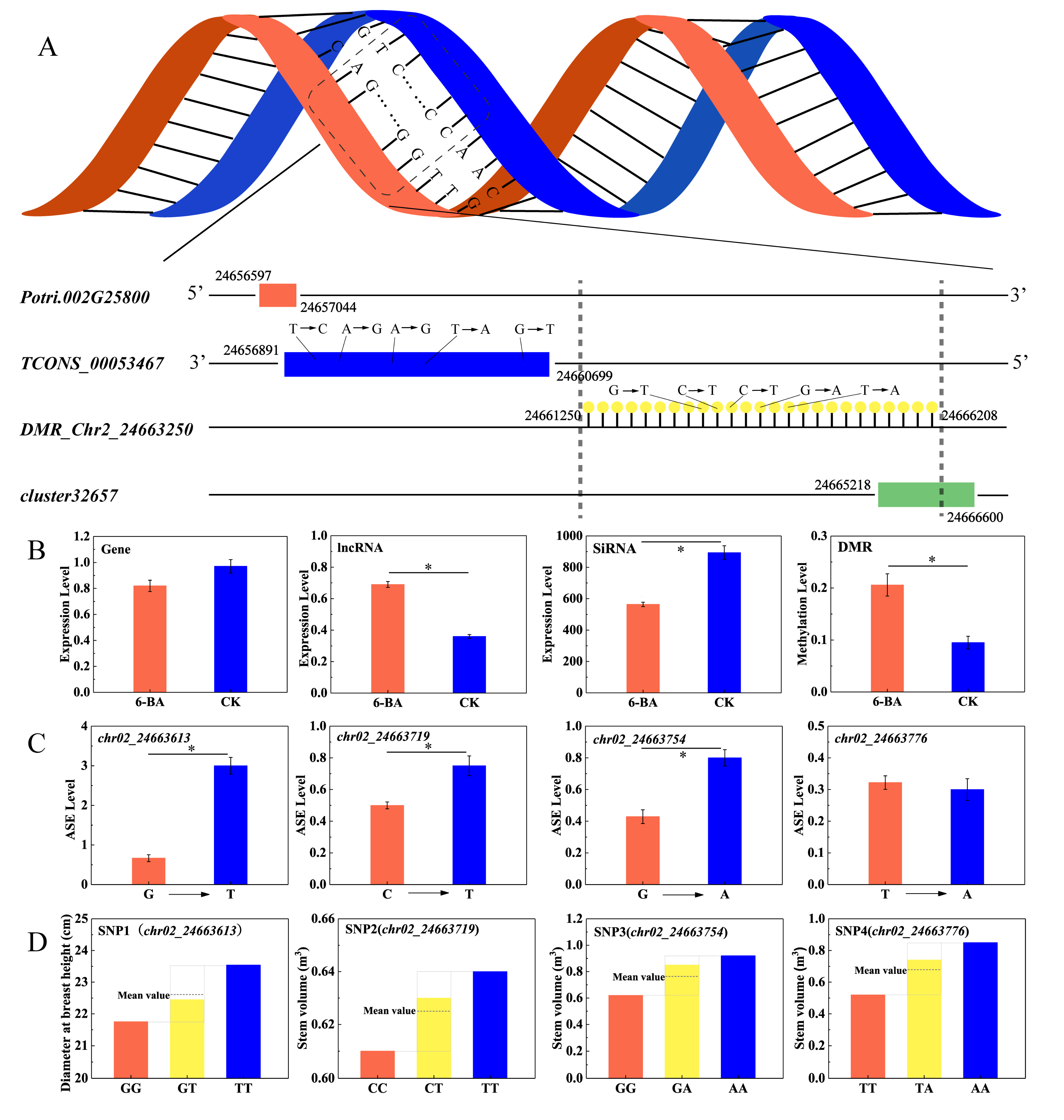 Ijms 21 02117 g006 Ijms 21 02117 g006