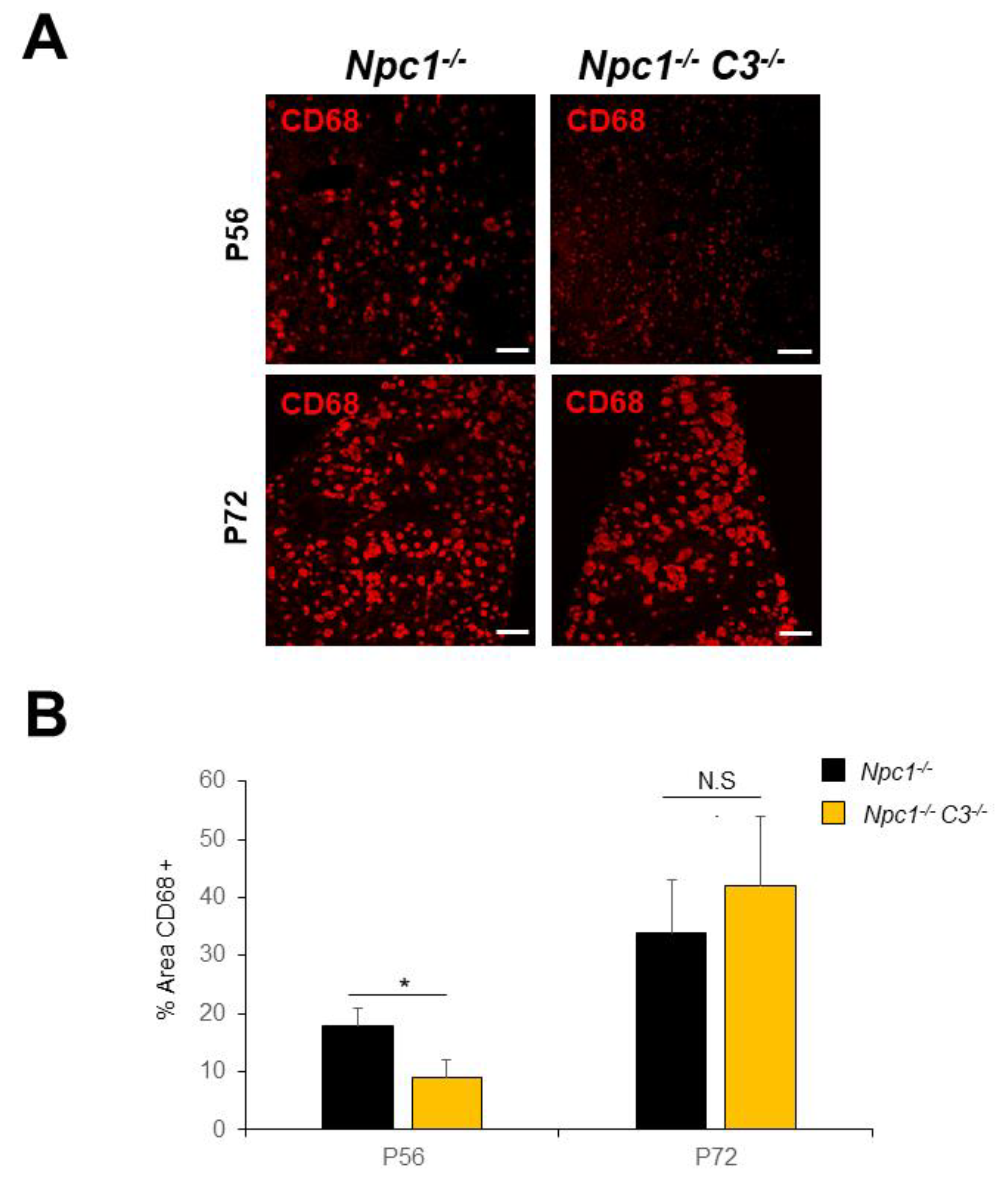 Ijms 21 02127 g003 Ijms 21 02127 g003