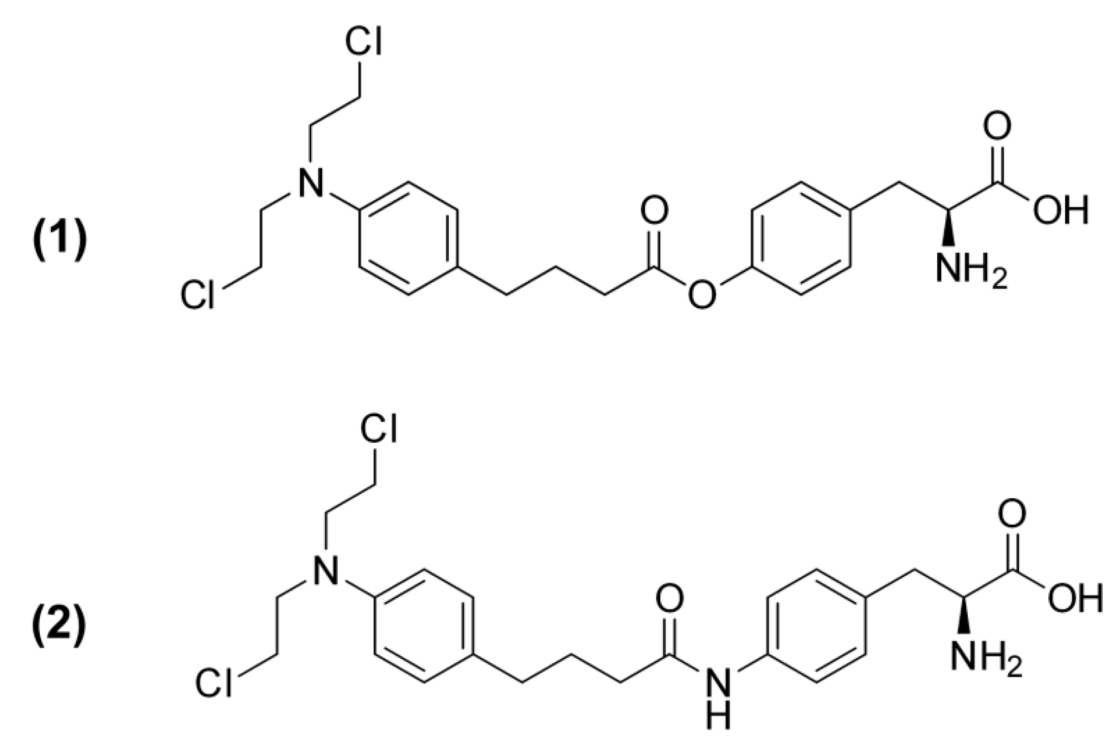 Ijms 21 02132 g001 Ijms 21 02132 g001
