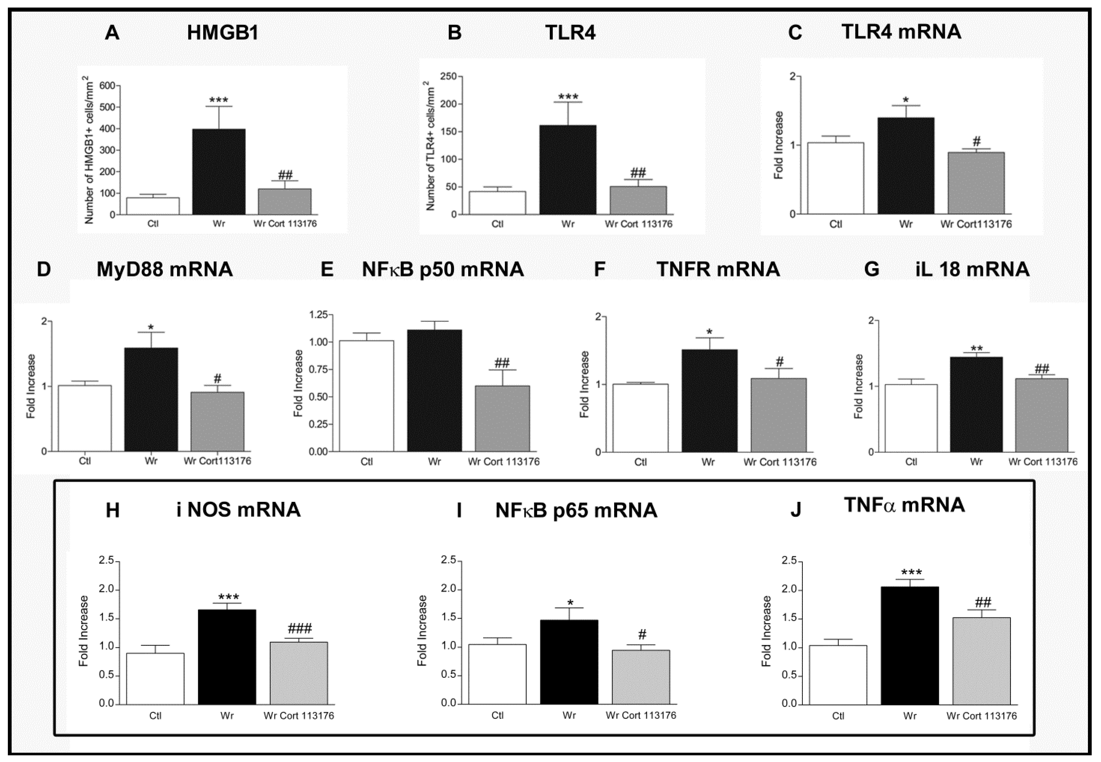 Ijms 21 02137 g001 Ijms 21 02137 g001
