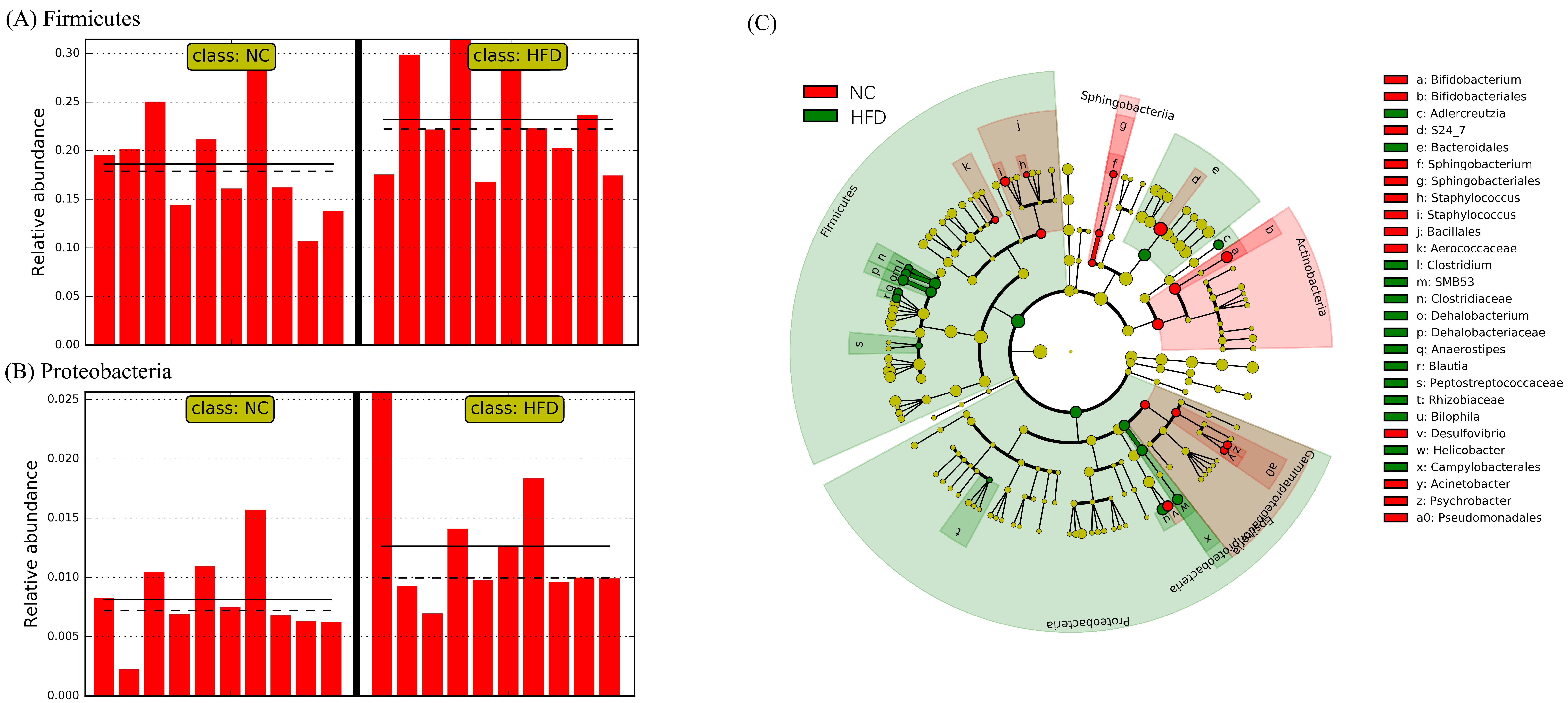 Ijms 21 02149 g005 Ijms 21 02149 g005