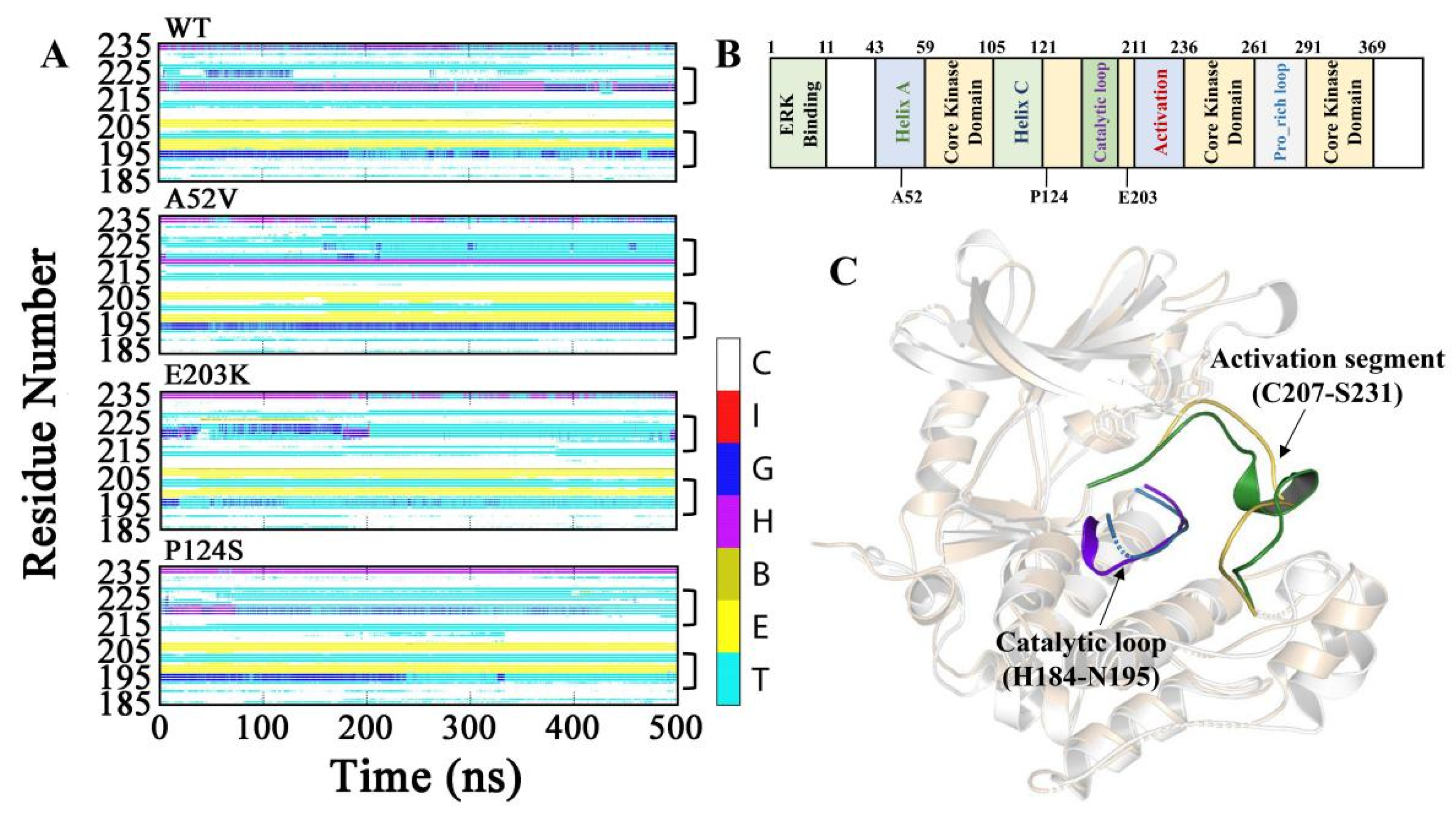 Ijms 21 02167 g003 Ijms 21 02167 g003