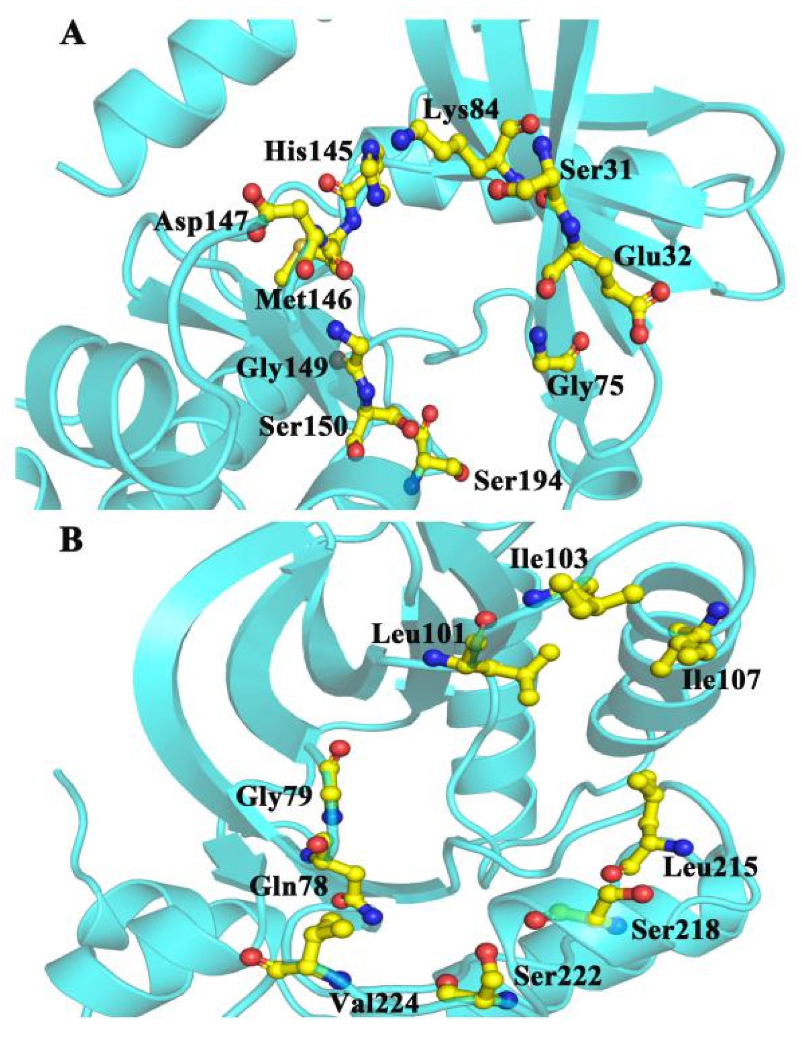 Ijms 21 02167 g007 Ijms 21 02167 g007