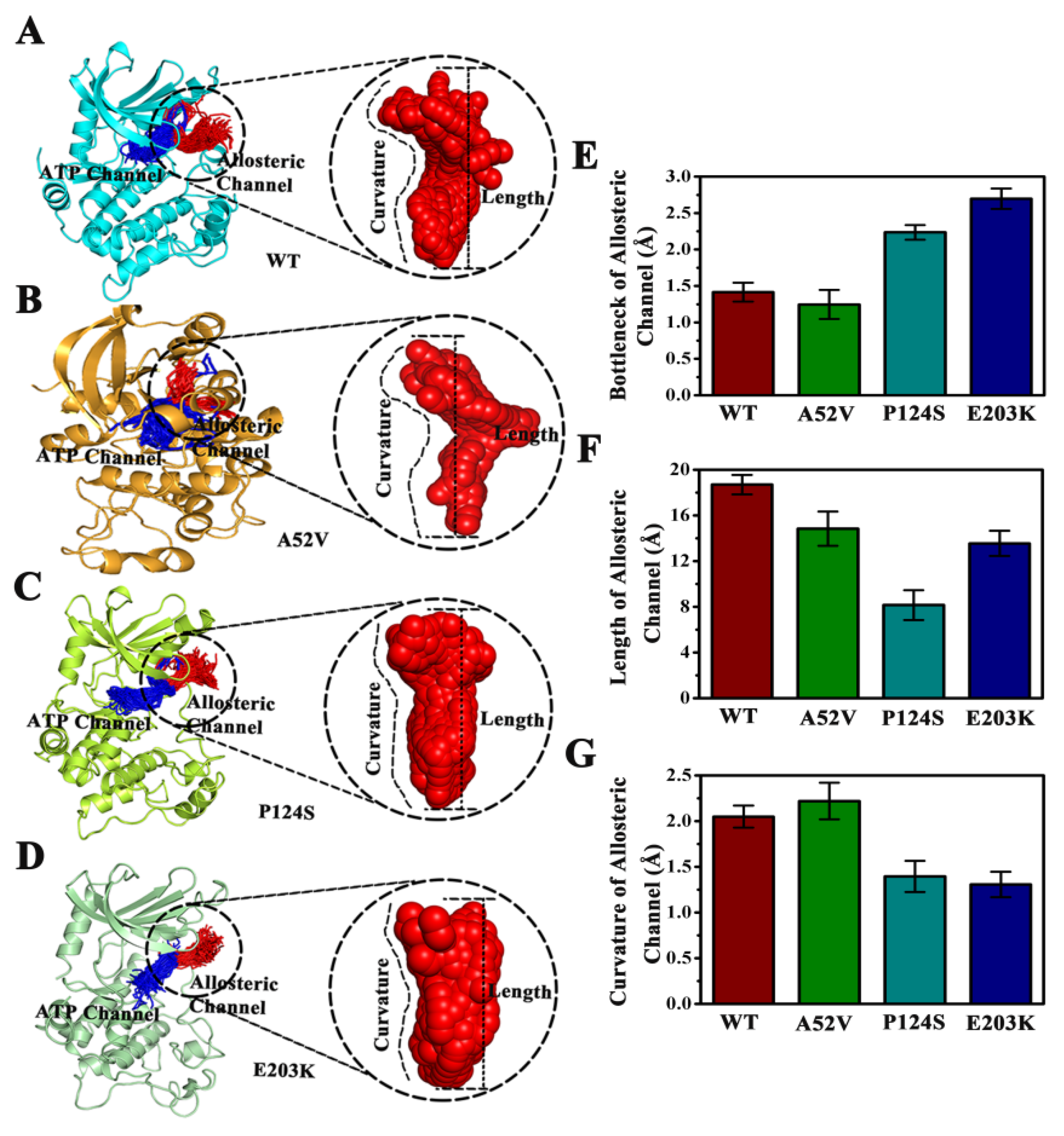 Ijms 21 02167 g008 Ijms 21 02167 g008