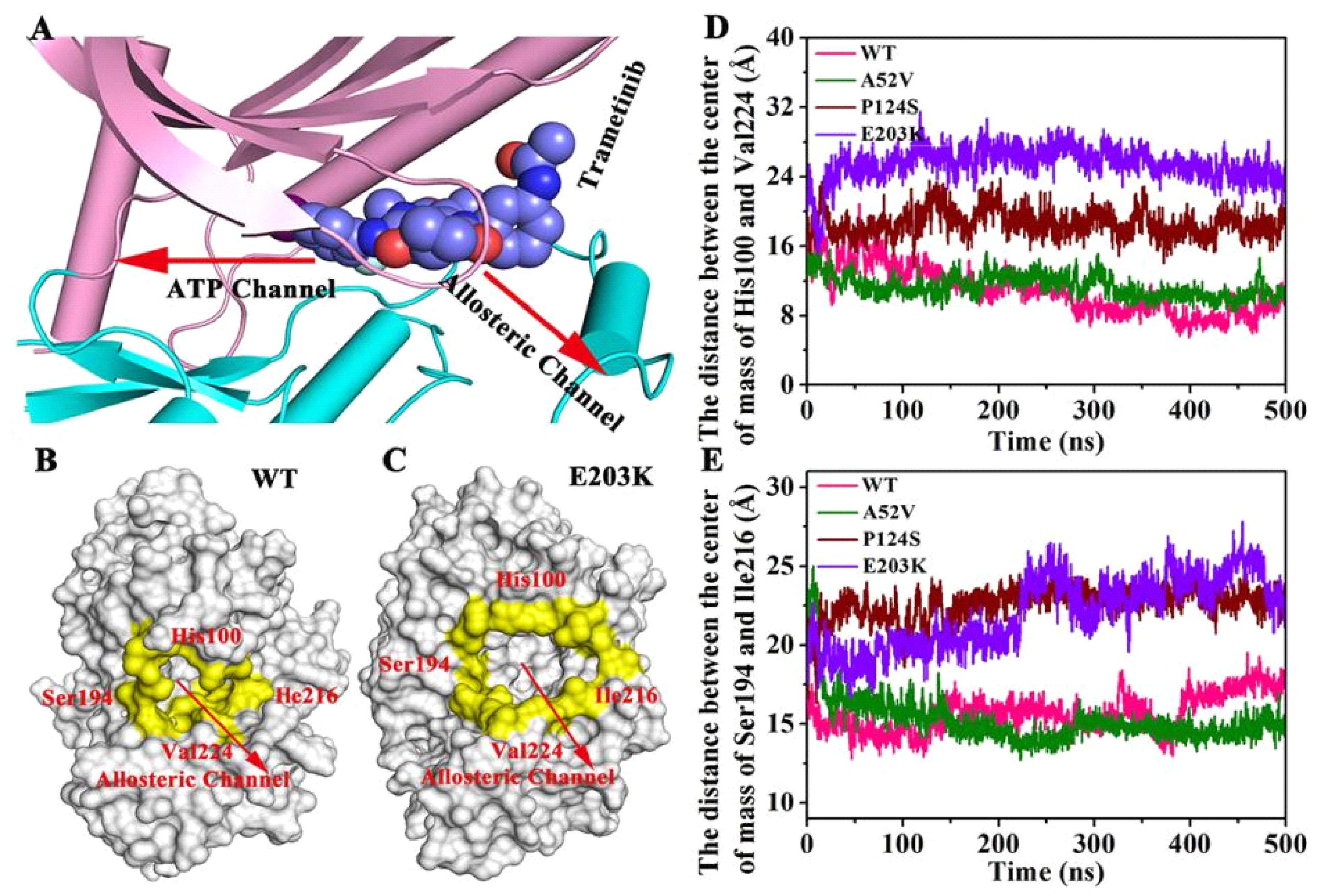 Ijms 21 02167 g009 Ijms 21 02167 g009