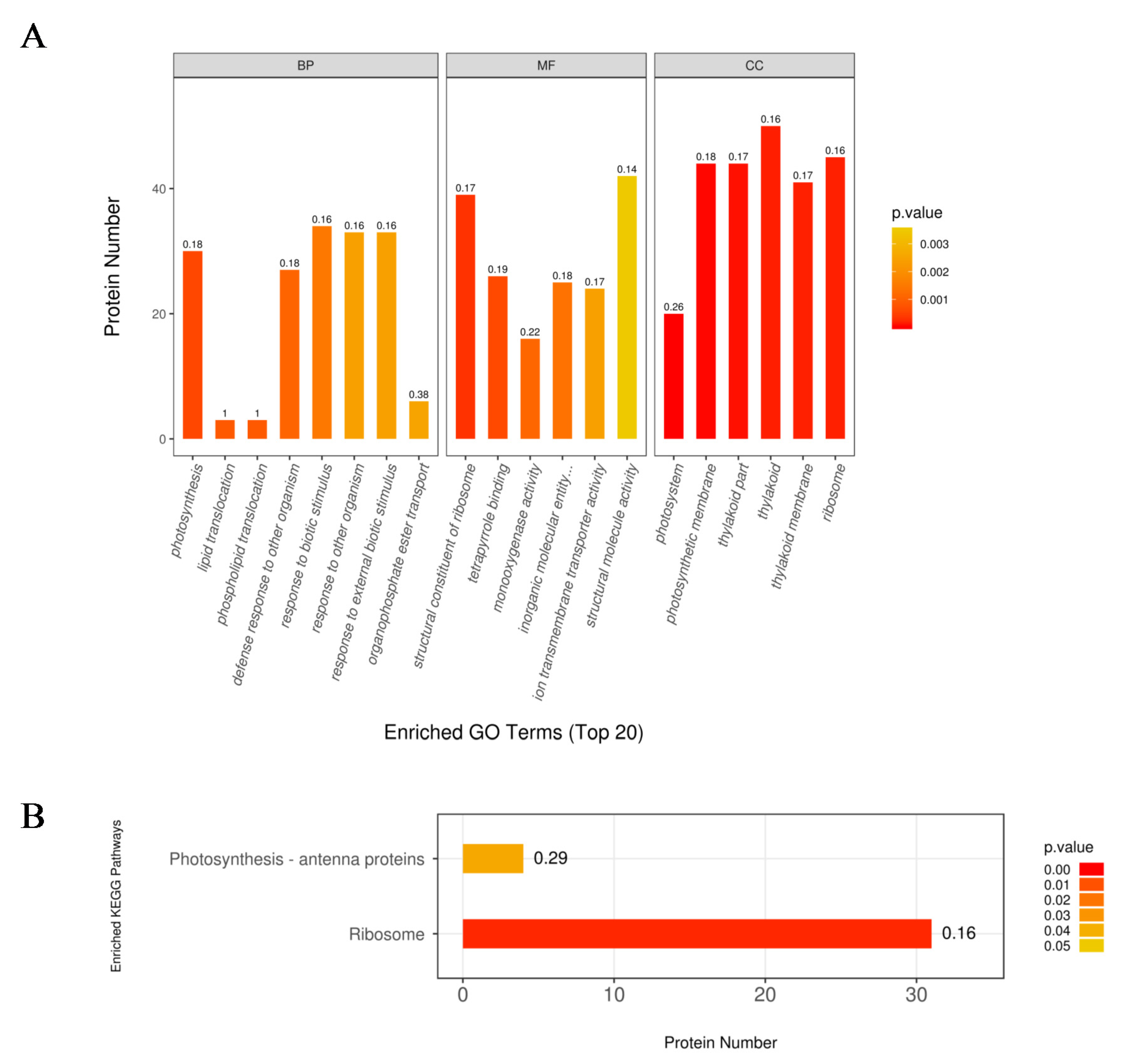 Ijms 21 02171 g003 Ijms 21 02171 g003
