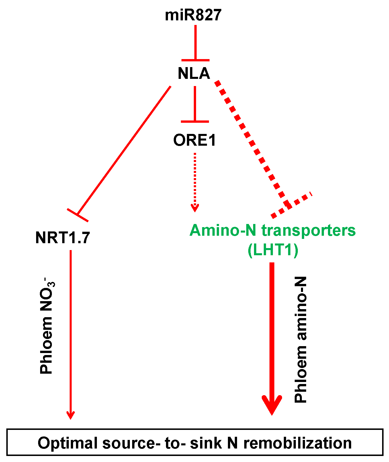 Ijms 21 02171 g005 Ijms 21 02171 g005