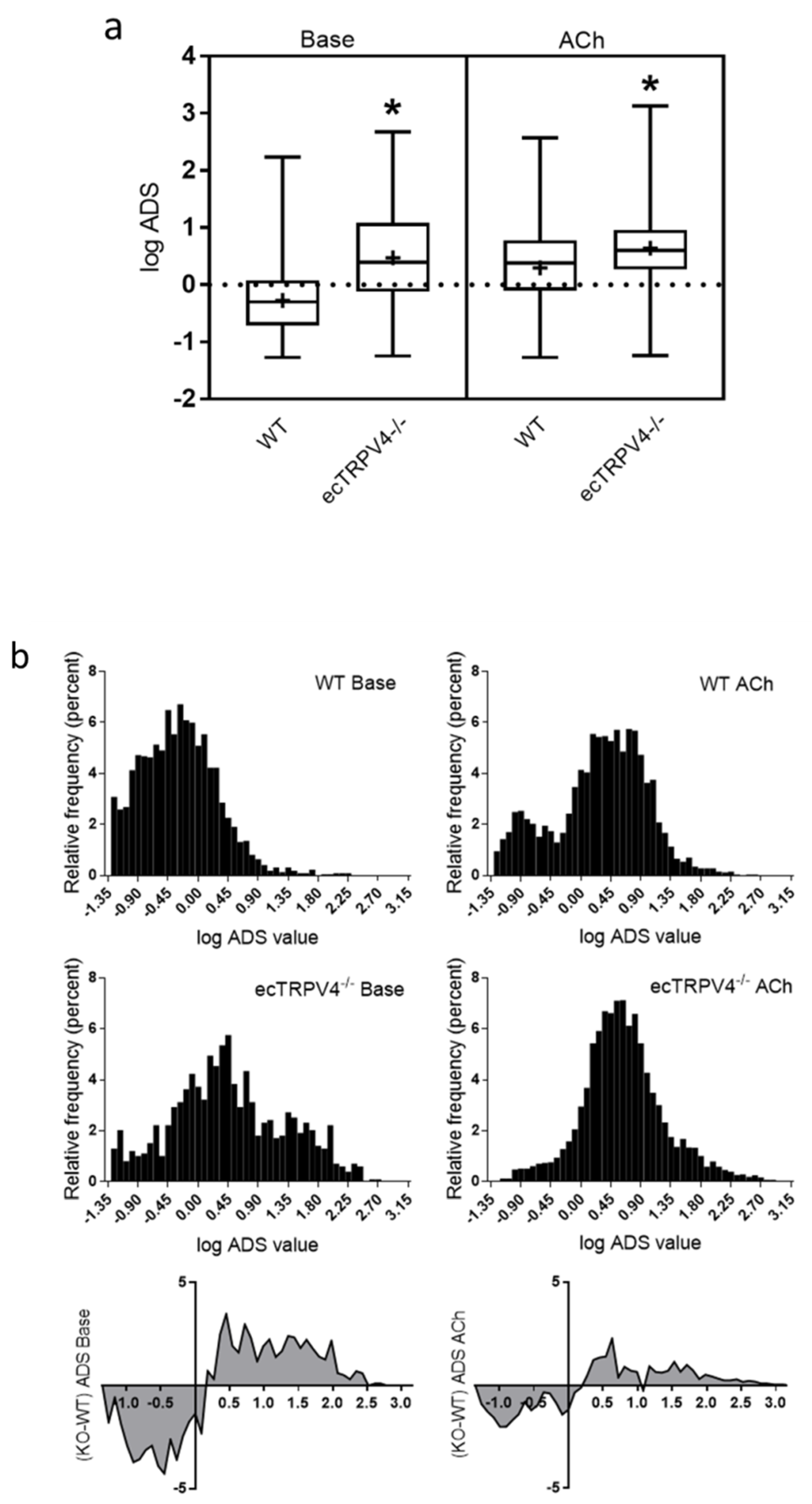 Ijms 21 02179 g004 Ijms 21 02179 g004