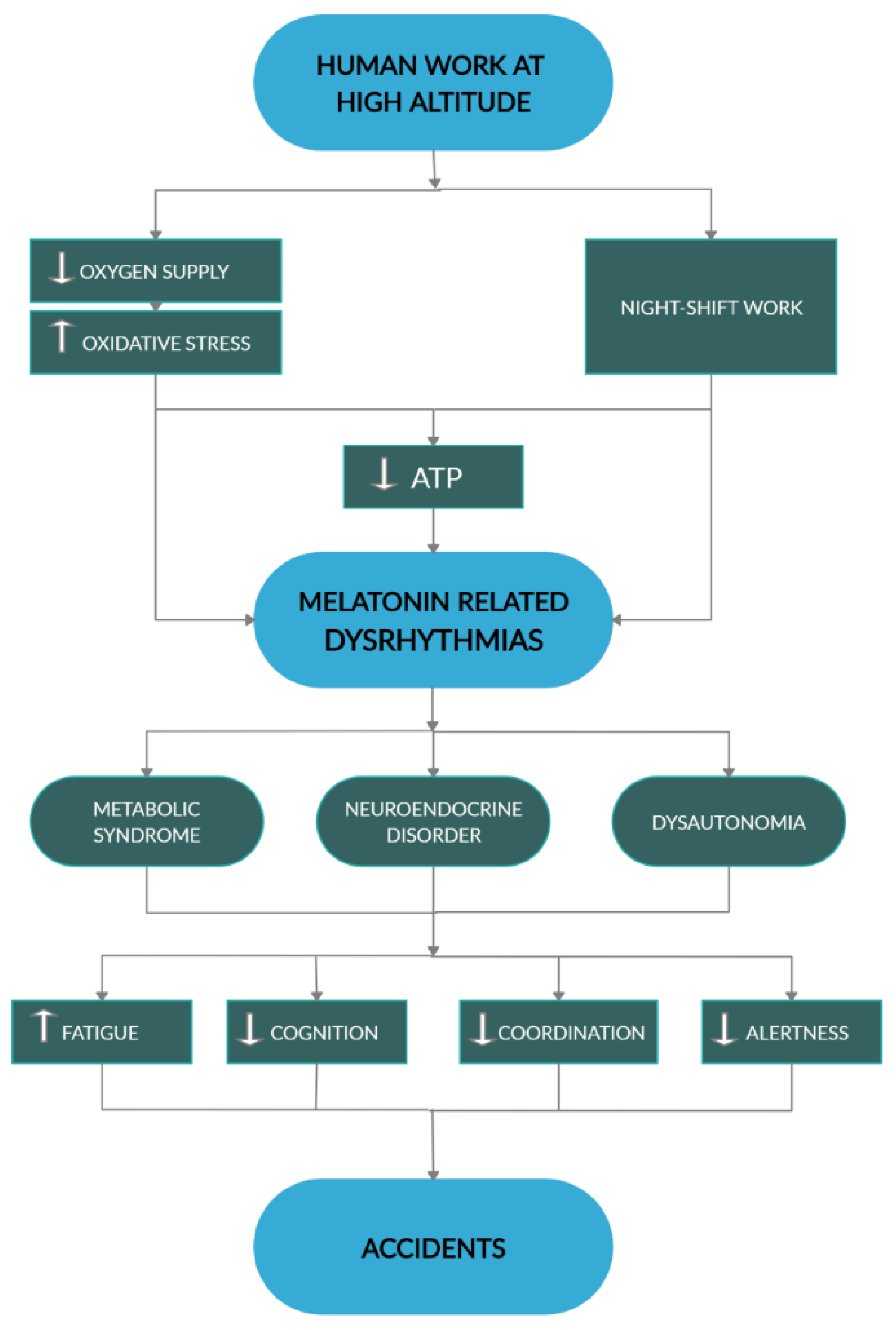 Ijms 21 02184 g005 Ijms 21 02184 g005