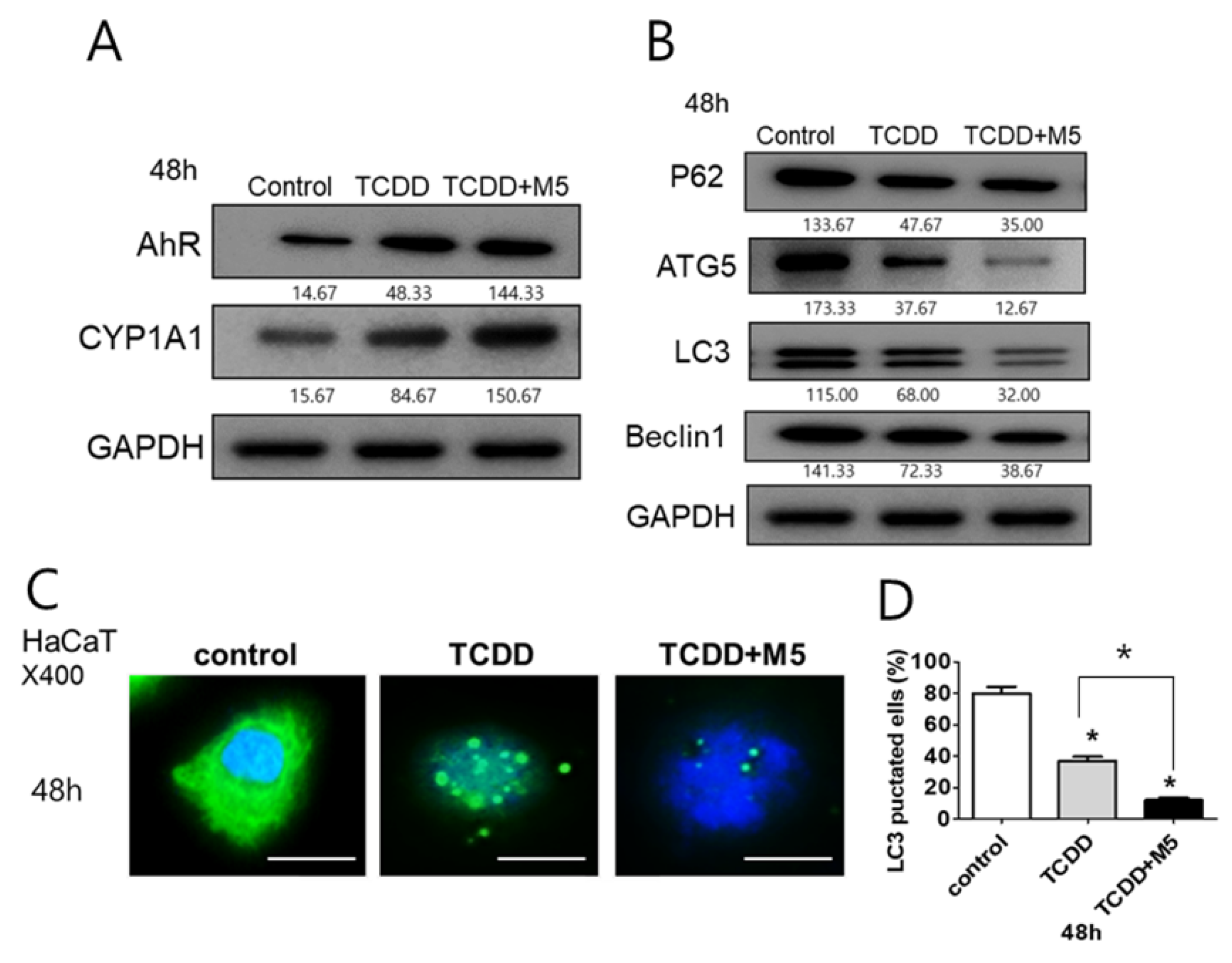 Ijms 21 02195 g002 Ijms 21 02195 g002