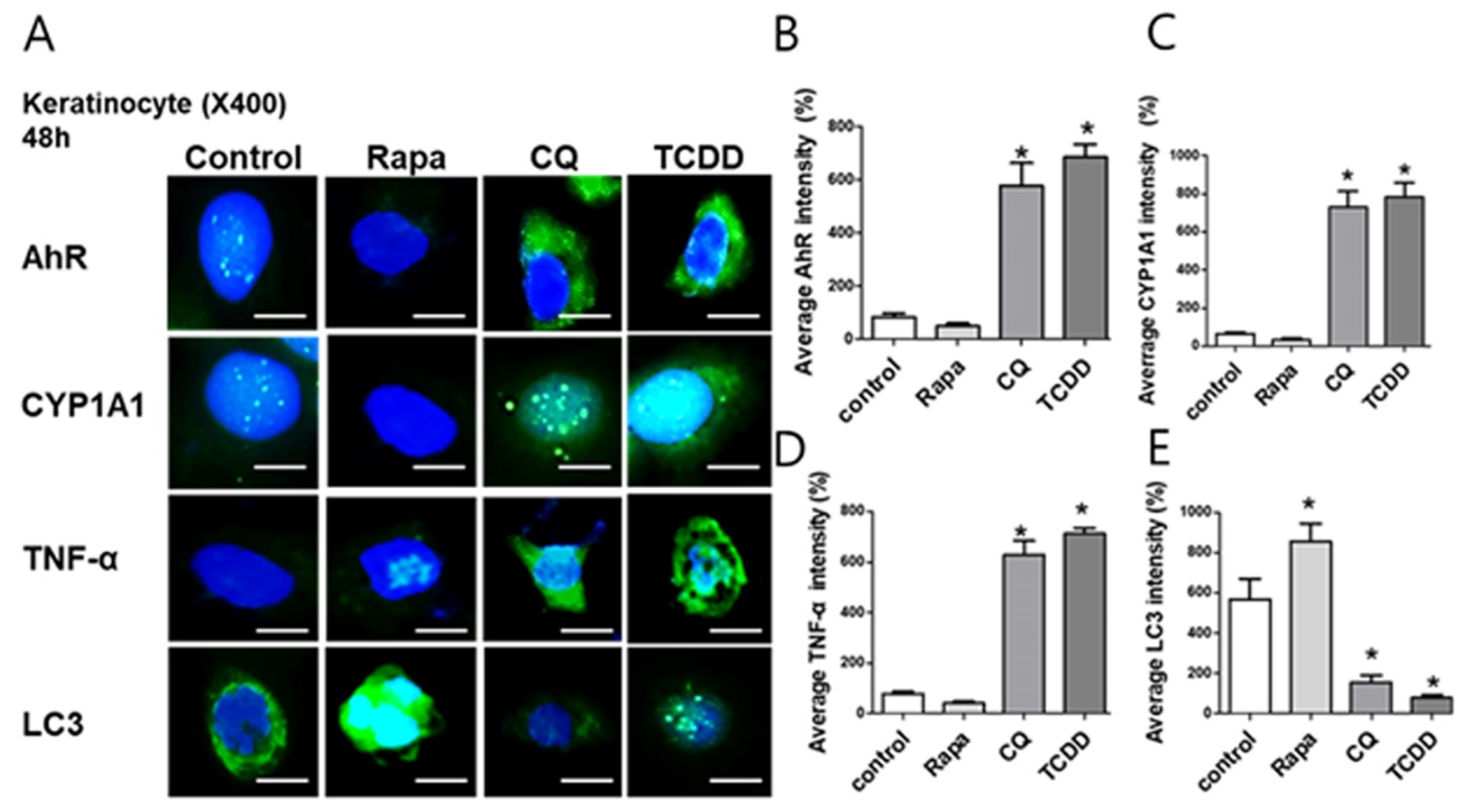 Ijms 21 02195 g004 Ijms 21 02195 g004