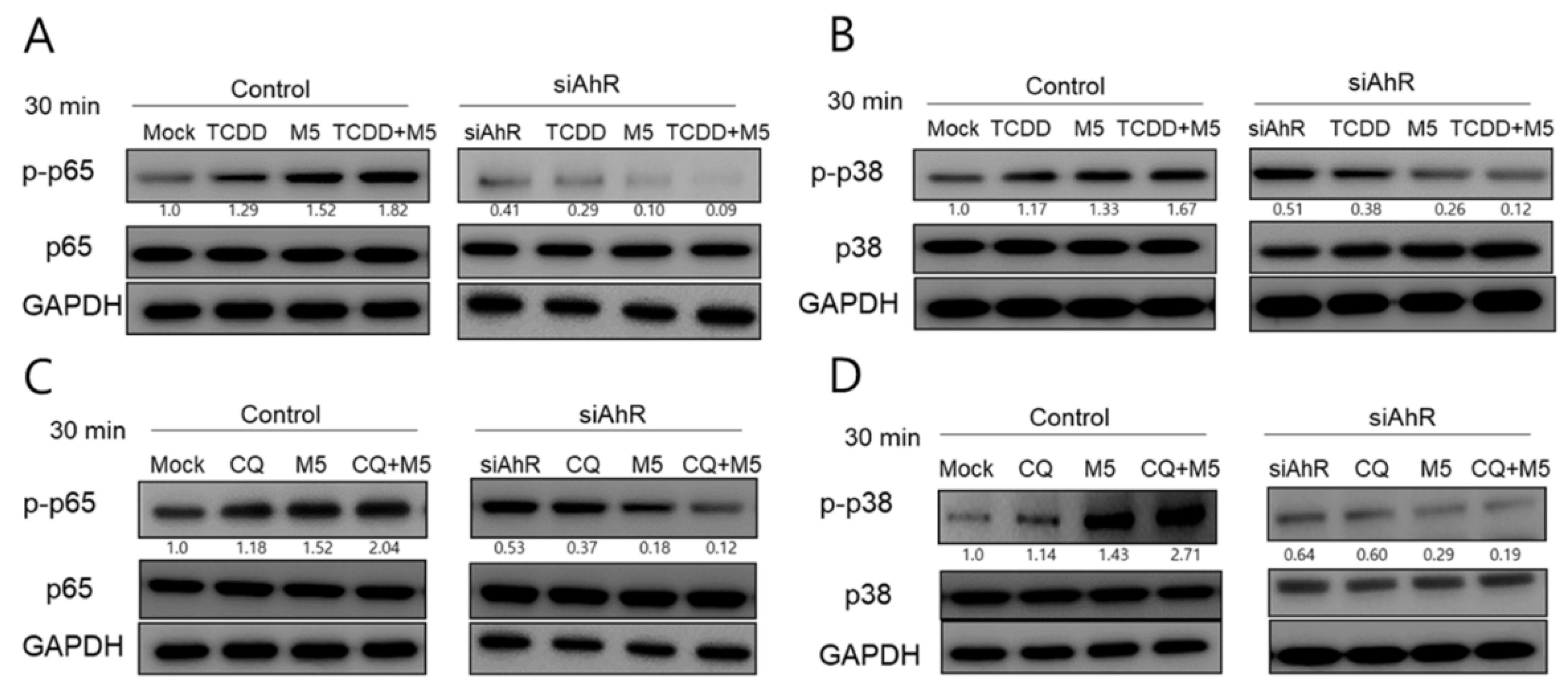 Ijms 21 02195 g006 Ijms 21 02195 g006