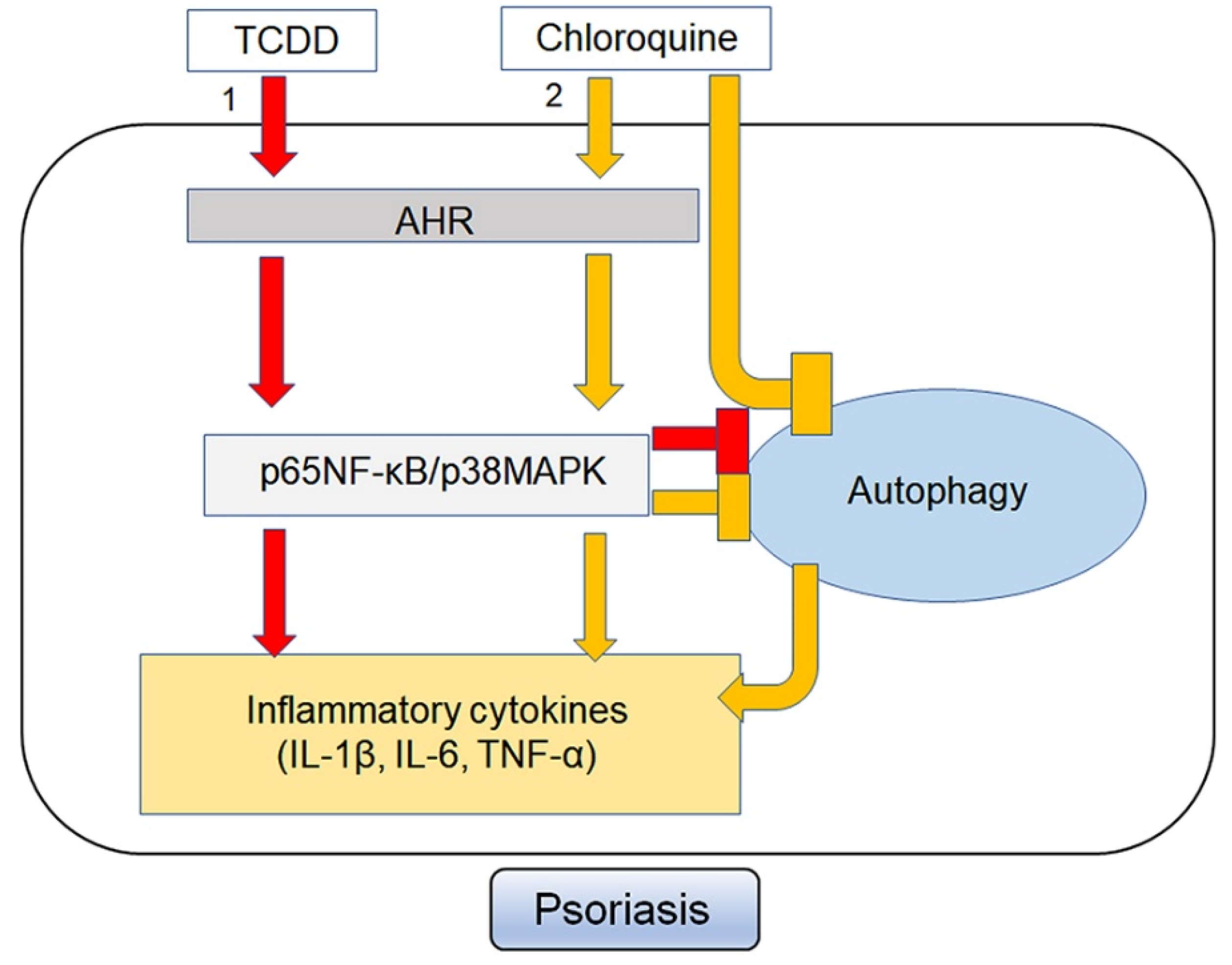 Ijms 21 02195 g010 Ijms 21 02195 g010