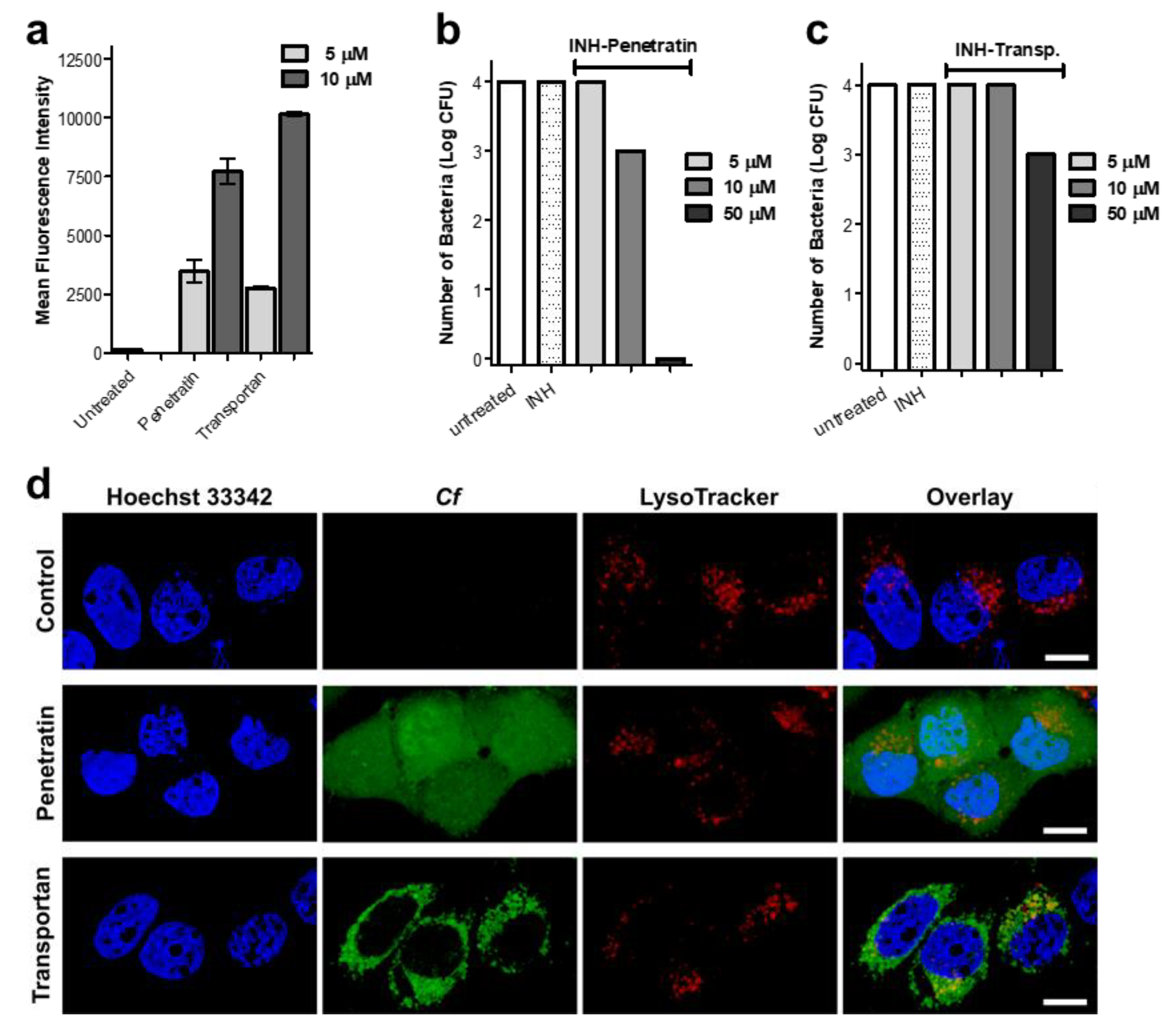 Ijms 21 02197 g007 Ijms 21 02197 g007