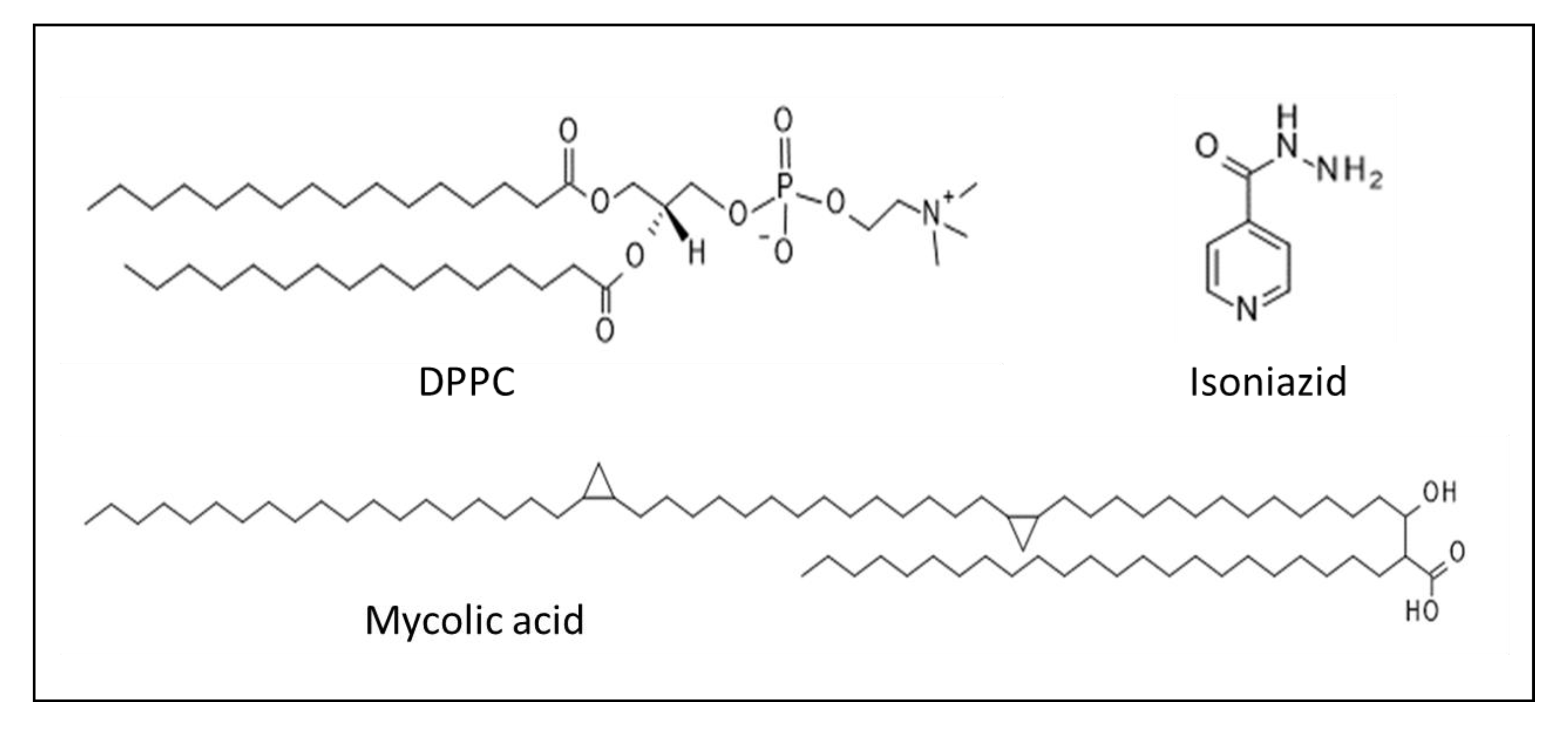 Ijms 21 02197 g008 Ijms 21 02197 g008