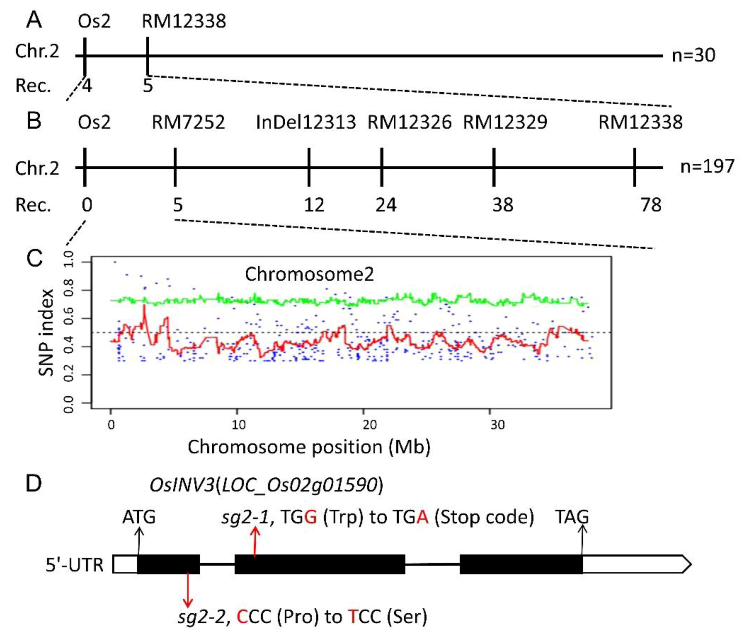 Ijms 21 02199 g003 Ijms 21 02199 g003