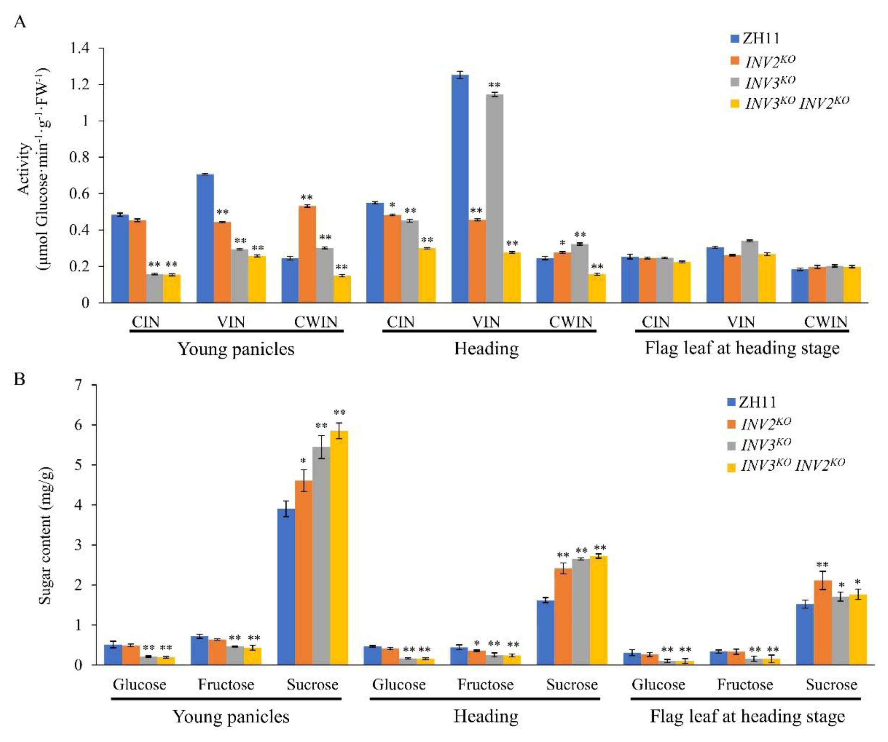 Ijms 21 02199 g010 Ijms 21 02199 g010