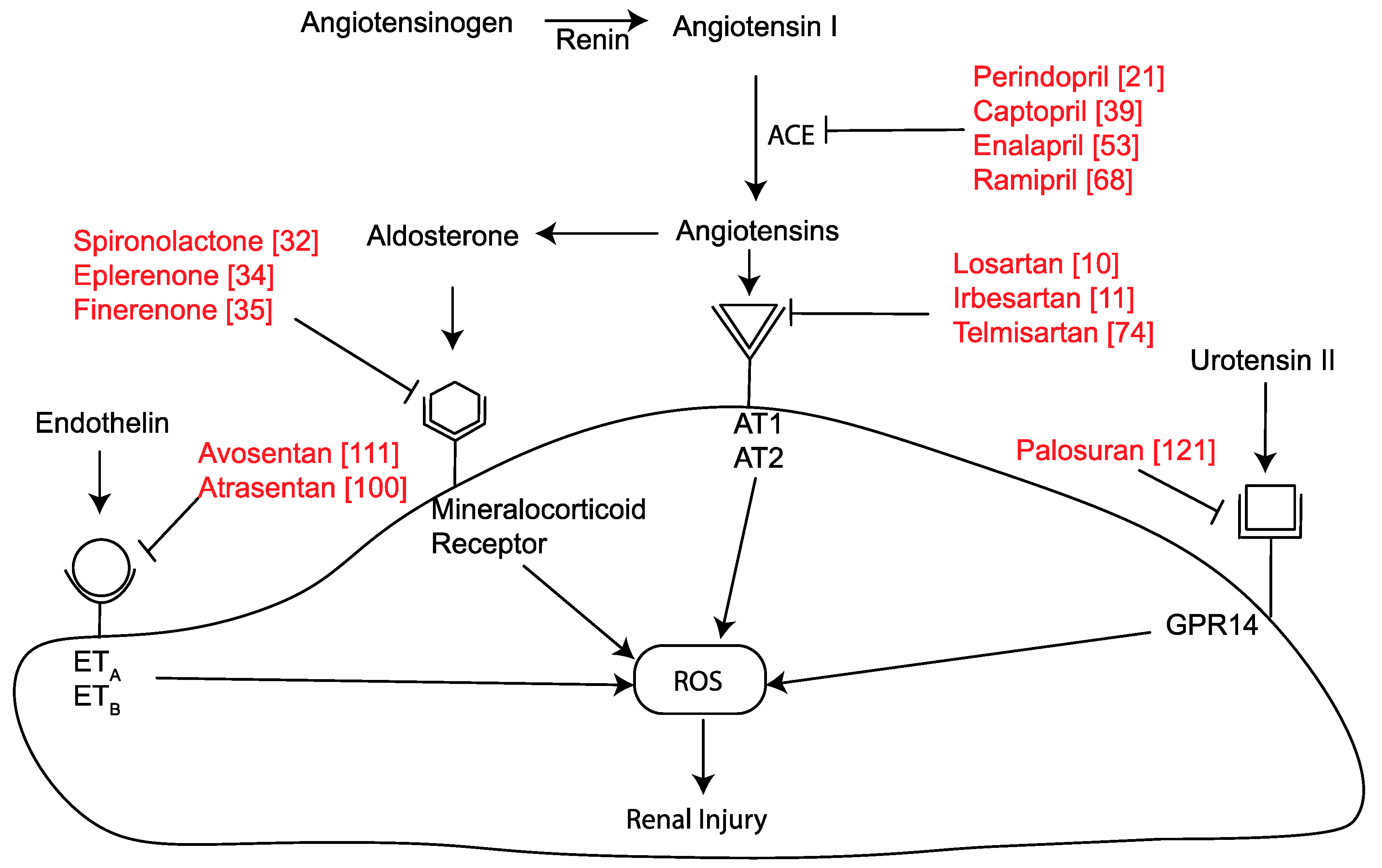 Ijms Free Full Text Glucose And Blood Pressure Dependent