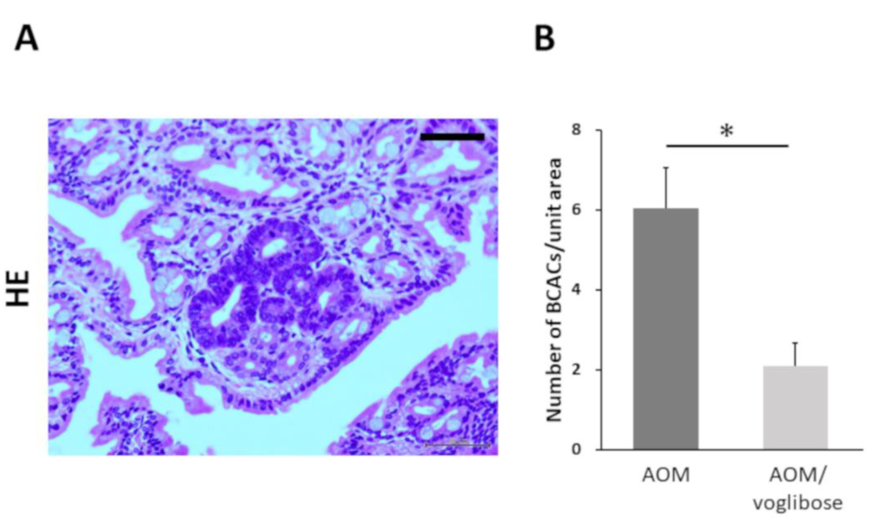 Ijms 21 02226 g001 Ijms 21 02226 g001
