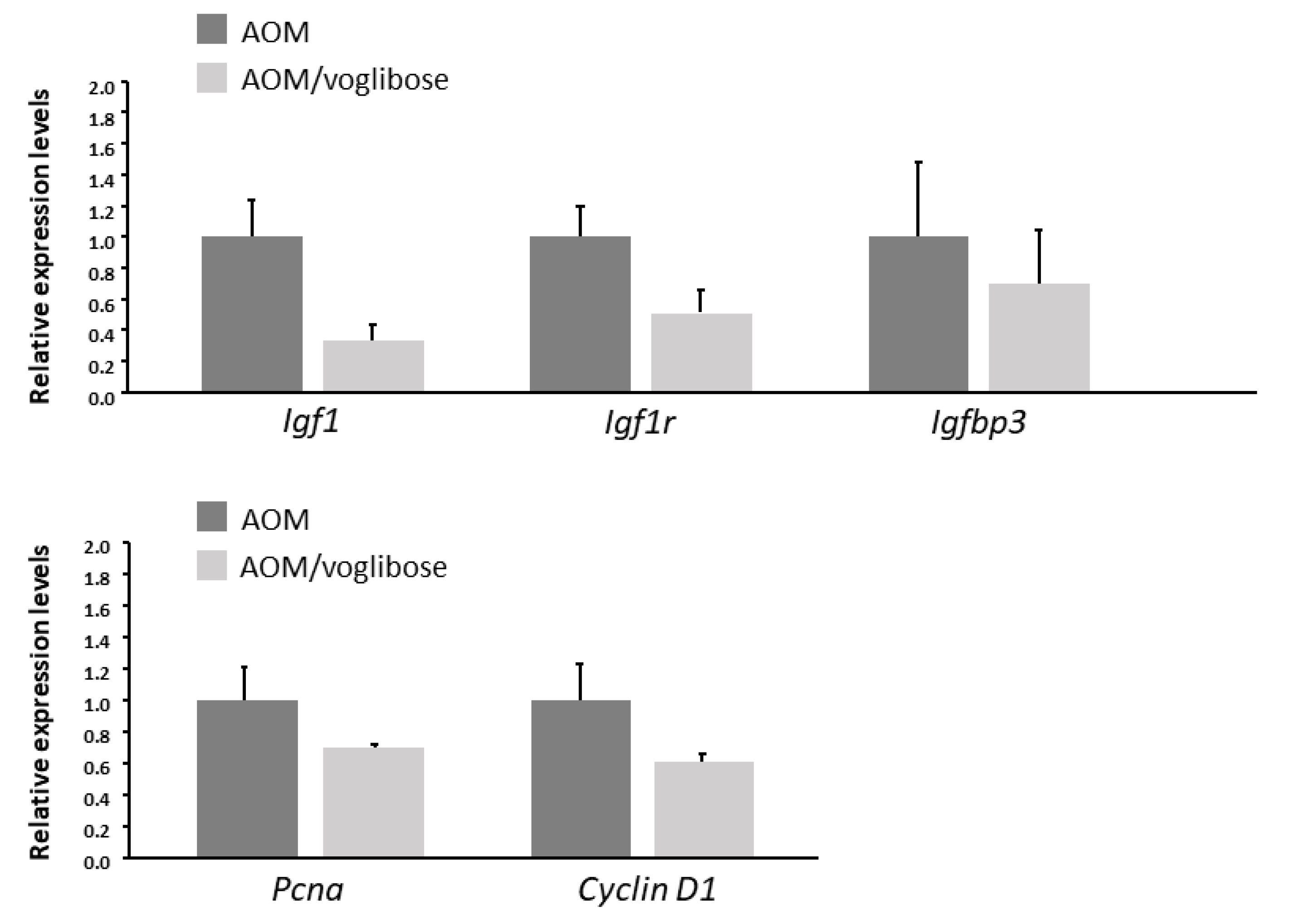 Ijms 21 02226 g003 Ijms 21 02226 g003