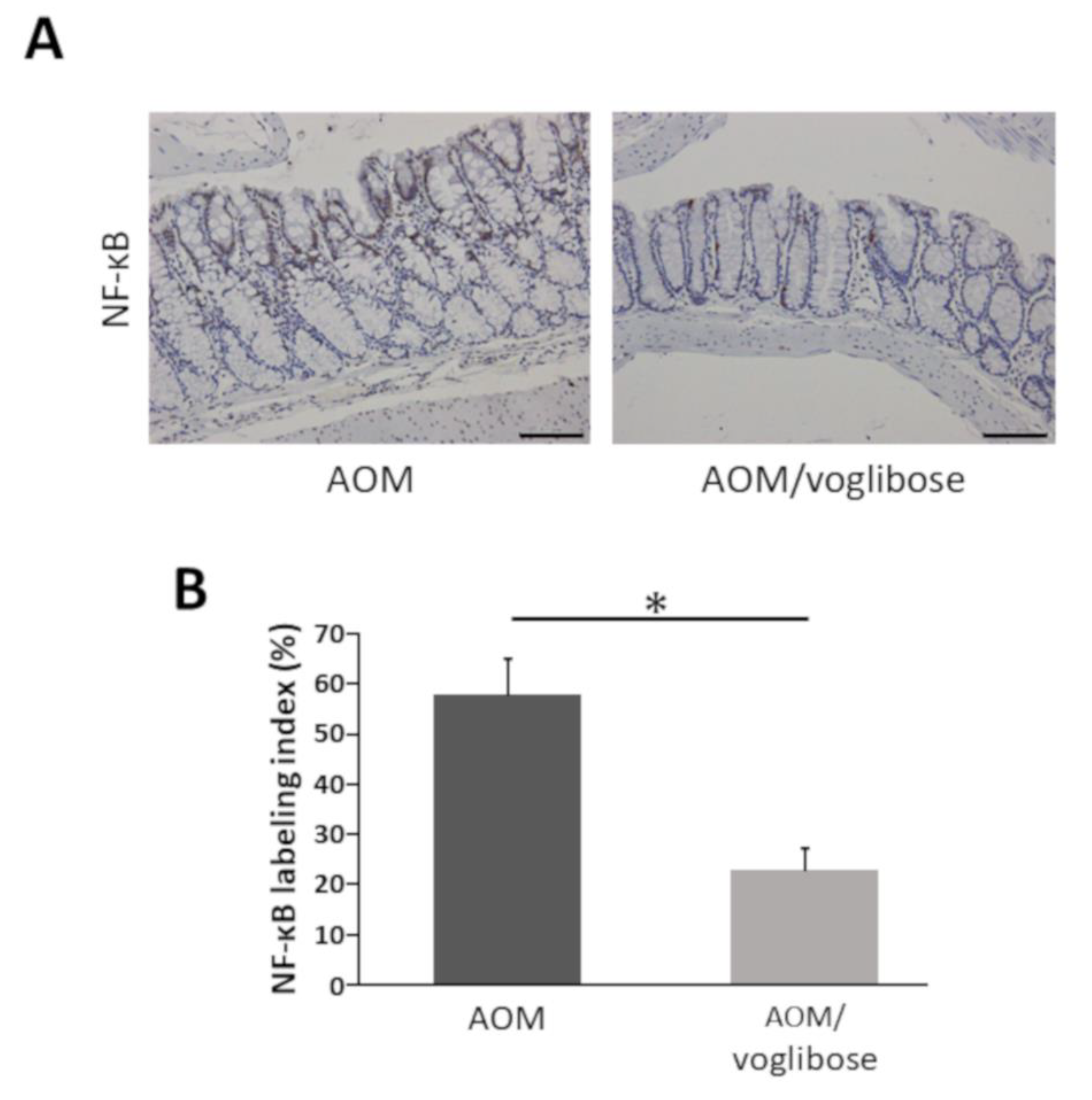 Ijms 21 02226 g004 Ijms 21 02226 g004