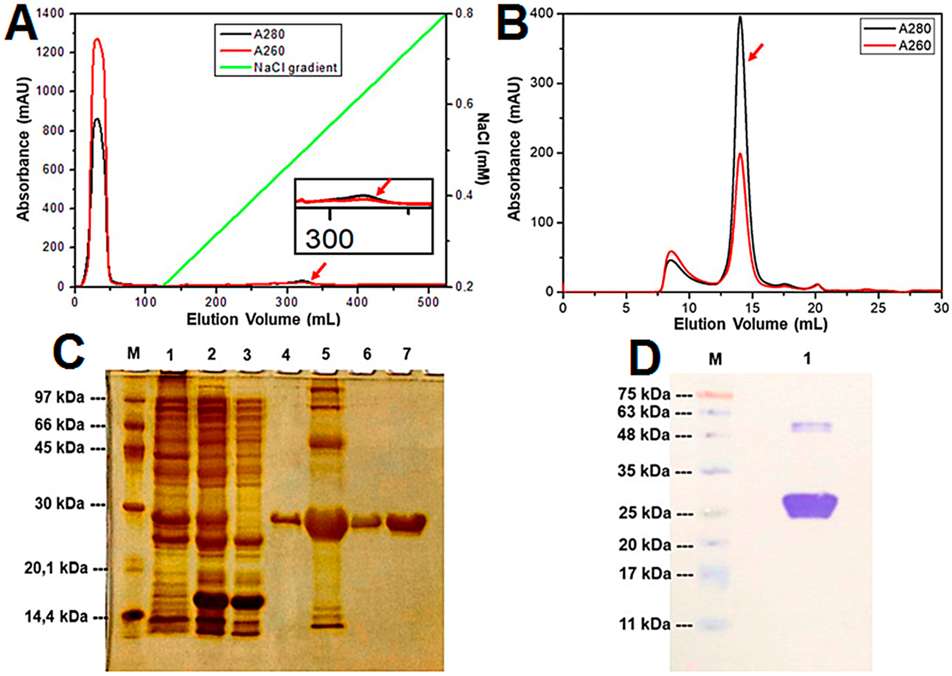 Ijms 21 02241 g001 Ijms 21 02241 g001