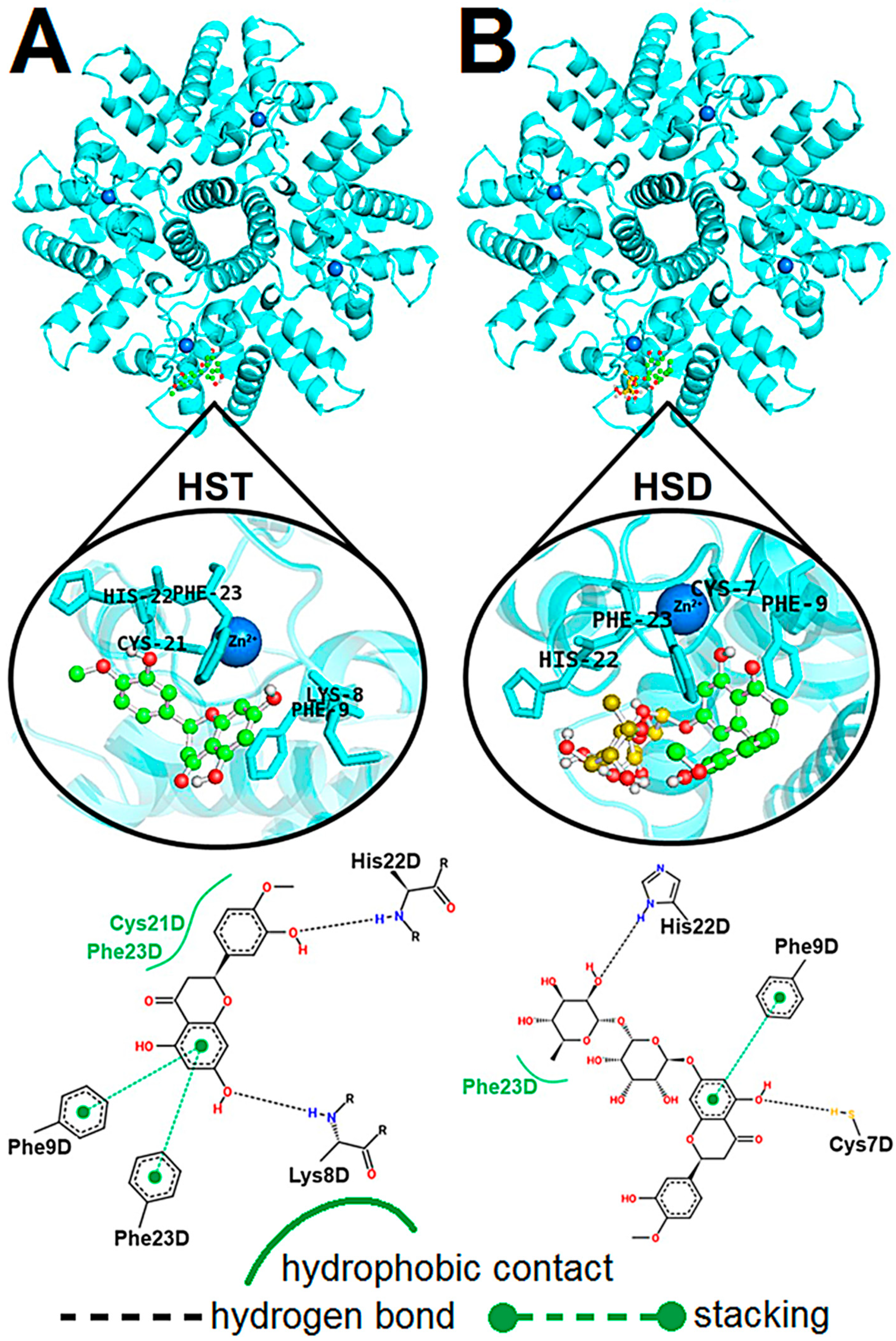 Ijms 21 02241 g004 Ijms 21 02241 g004