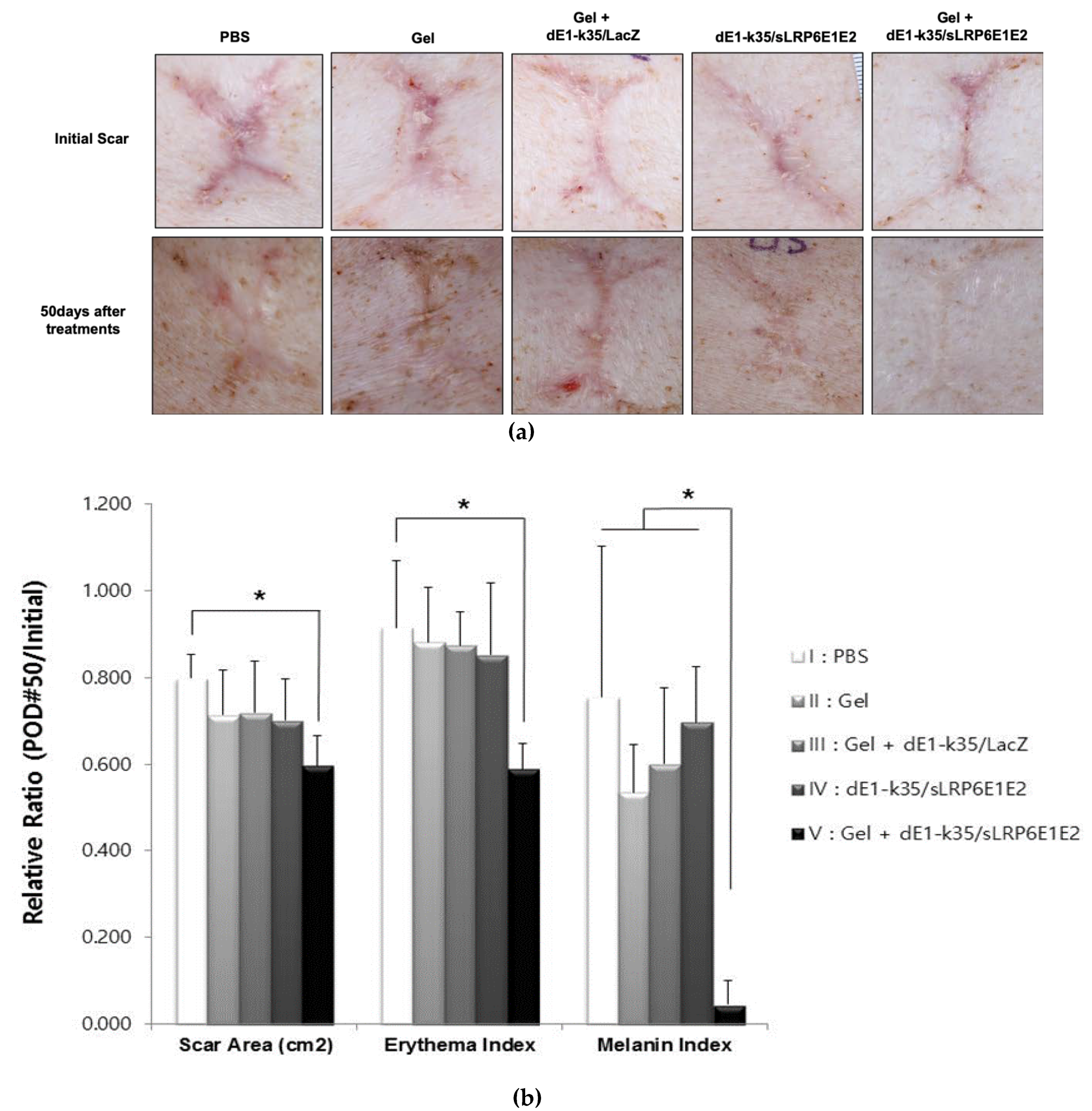 Ijms 21 02242 g002 Ijms 21 02242 g002